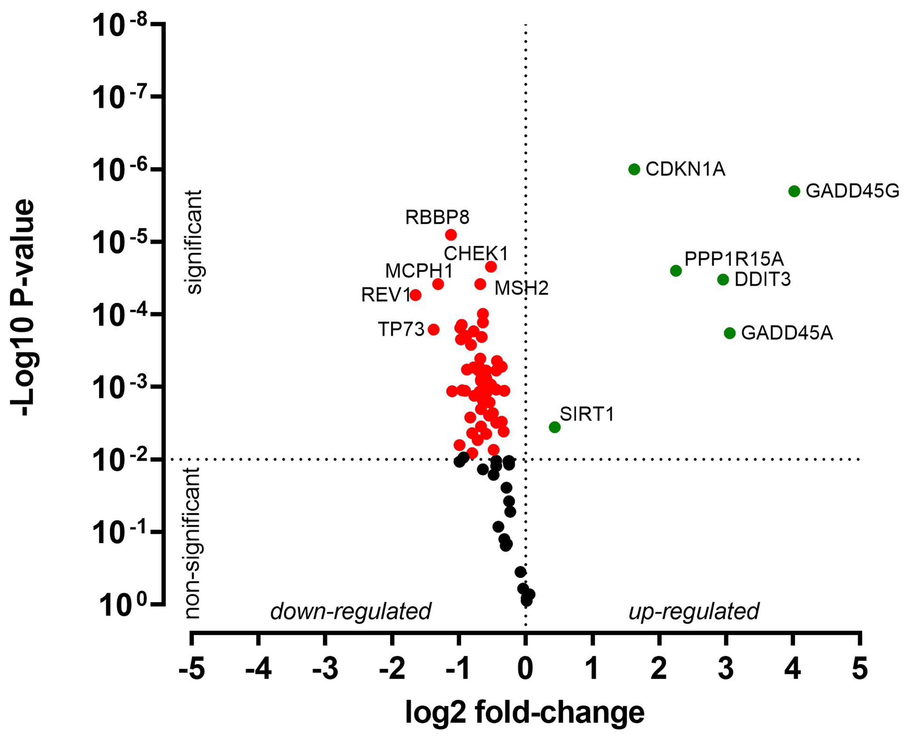 Cisplatin resistance in head and neck squamous cell carcinoma is linked to DNA damage response and cell cycle arrest transcriptomics rather than poor drug uptake