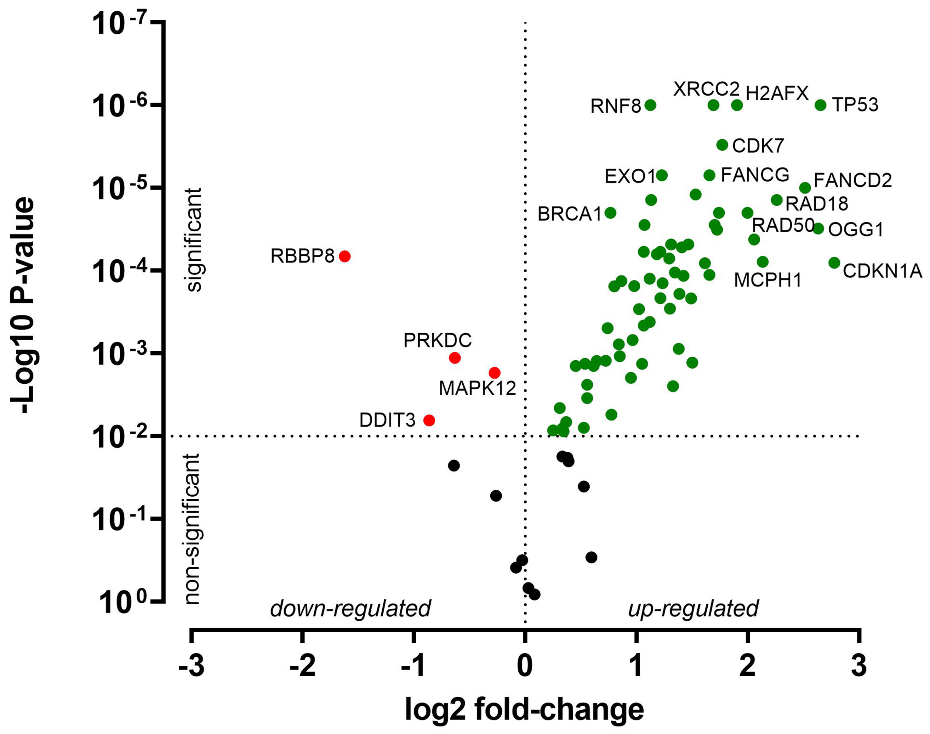 Cisplatin resistance in head and neck squamous cell carcinoma is linked to DNA damage response and cell cycle arrest transcriptomics rather than poor drug uptake