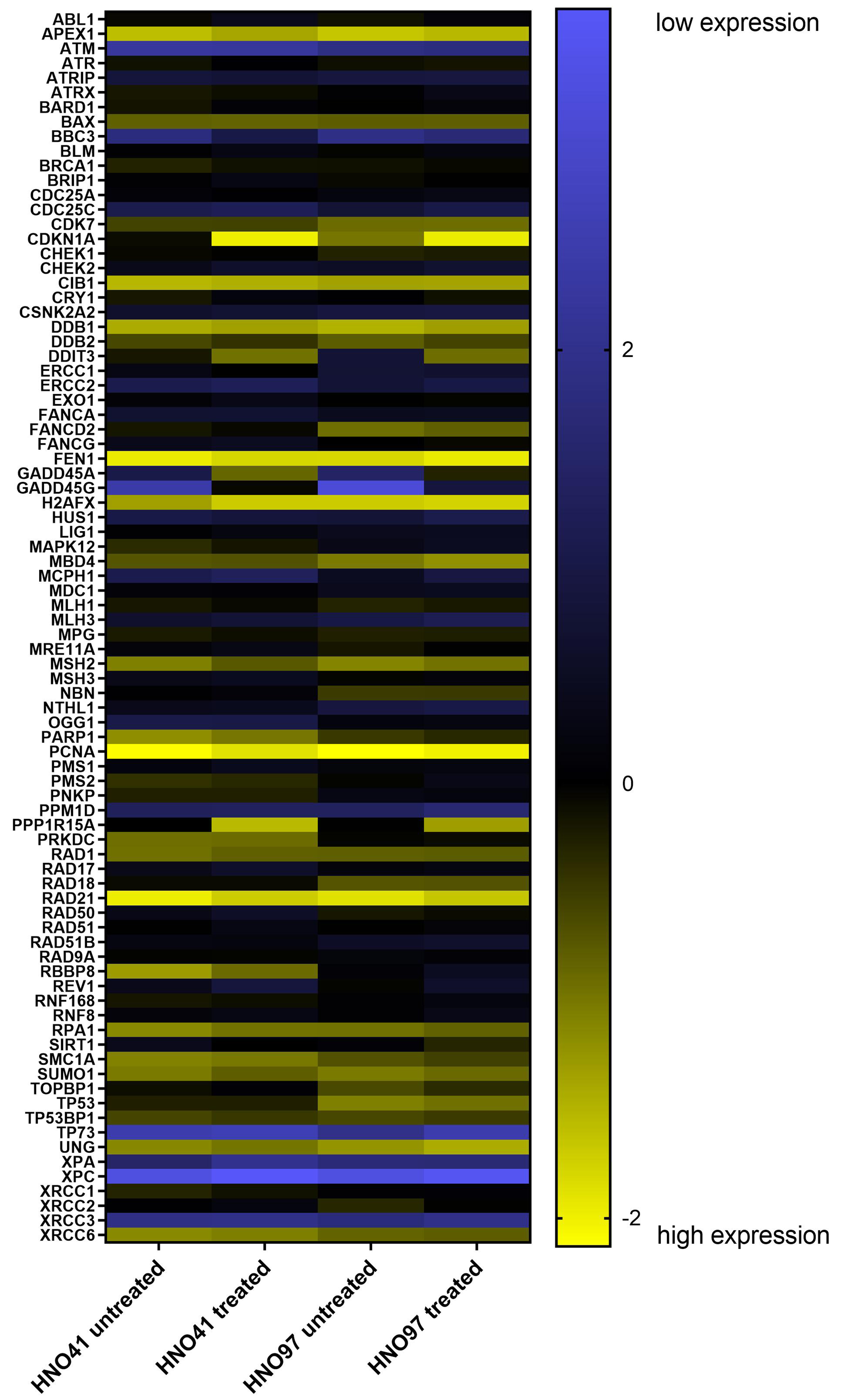 Cisplatin resistance in head and neck squamous cell carcinoma is linked to DNA damage response and cell cycle arrest transcriptomics rather than poor drug uptake