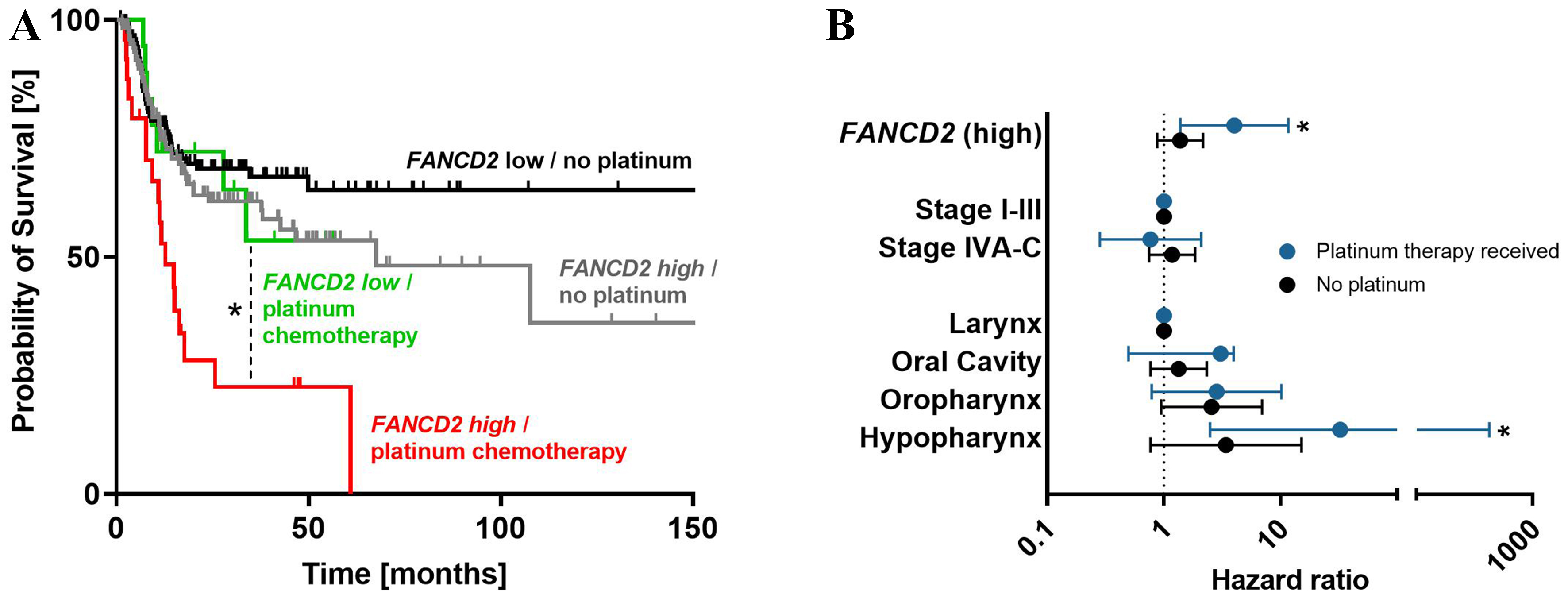 Cisplatin resistance in head and neck squamous cell carcinoma is linked to DNA damage response and cell cycle arrest transcriptomics rather than poor drug uptake