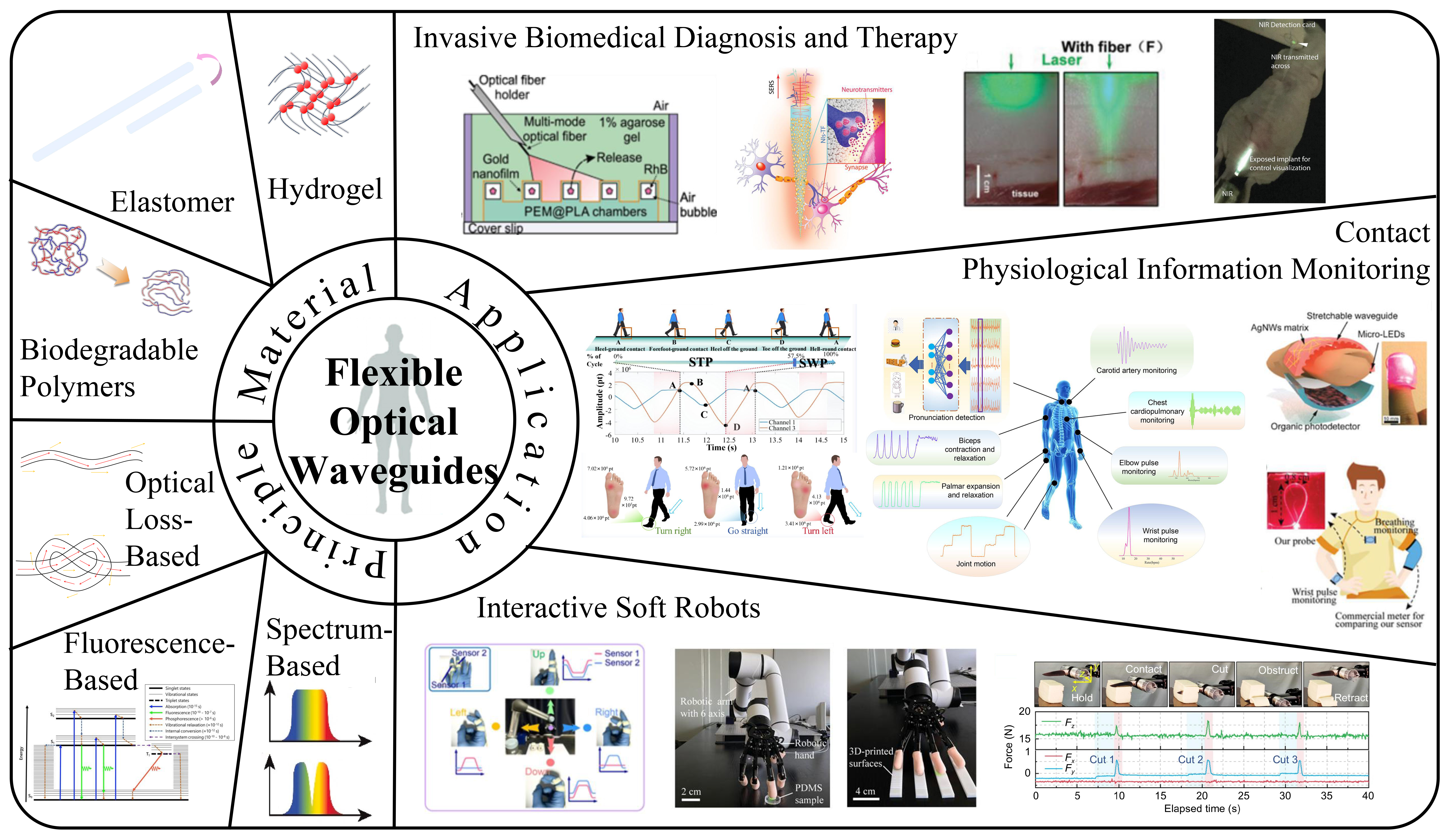 Flexible optical waveguides for health: a review of the current status and technological perspectives