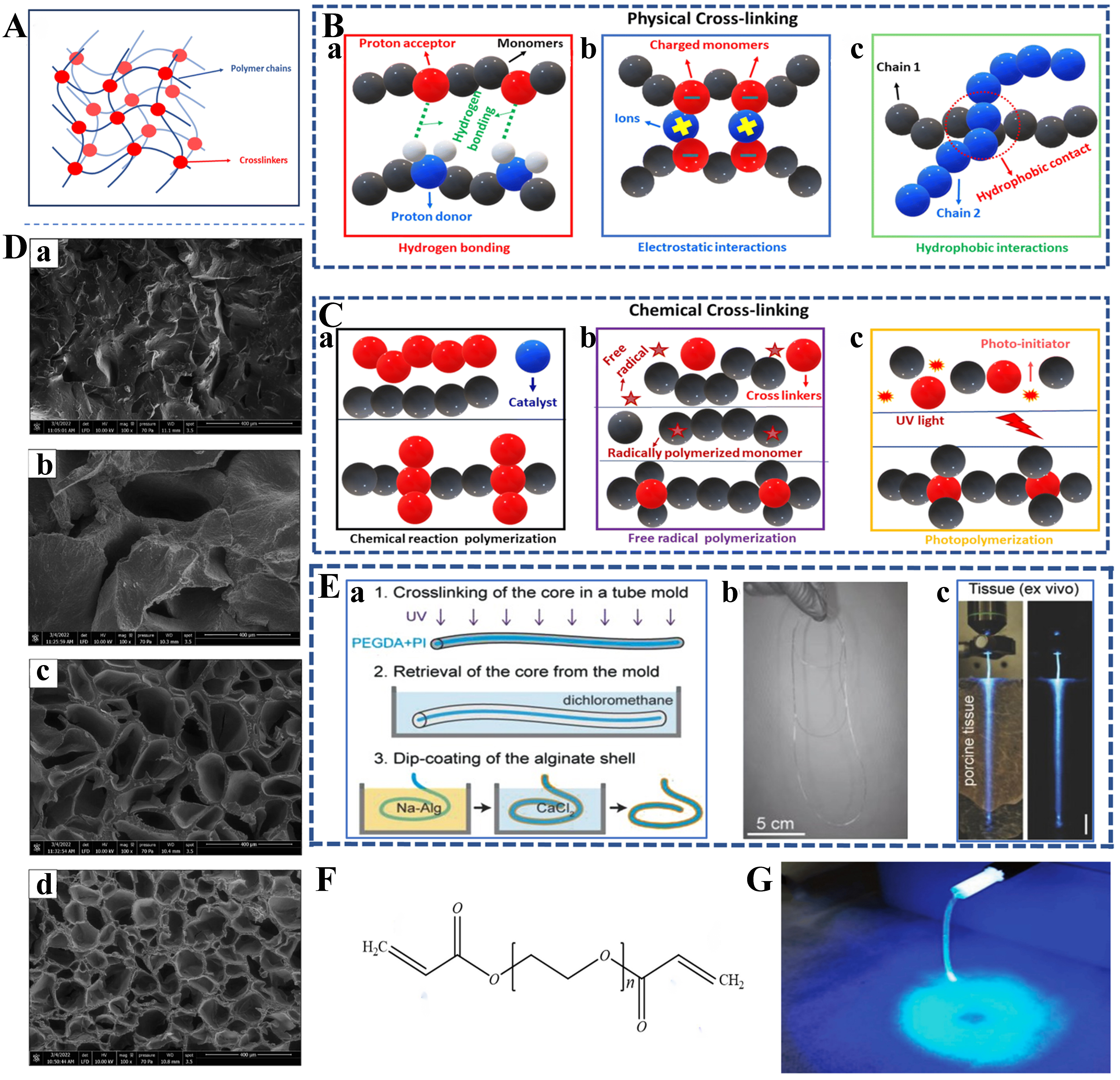 Flexible optical waveguides for health: a review of the current status and technological perspectives