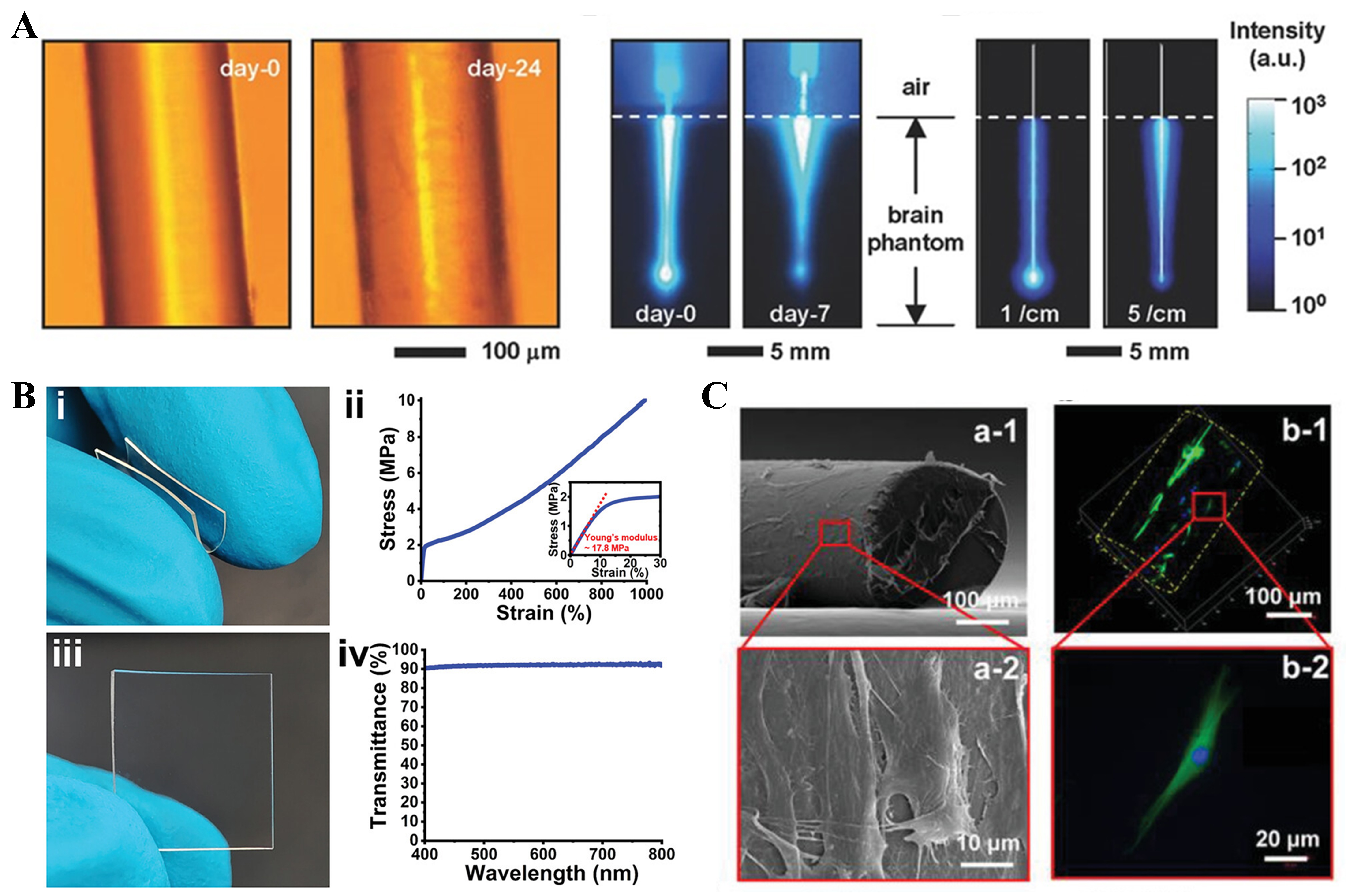 Flexible optical waveguides for health: a review of the current status and technological perspectives