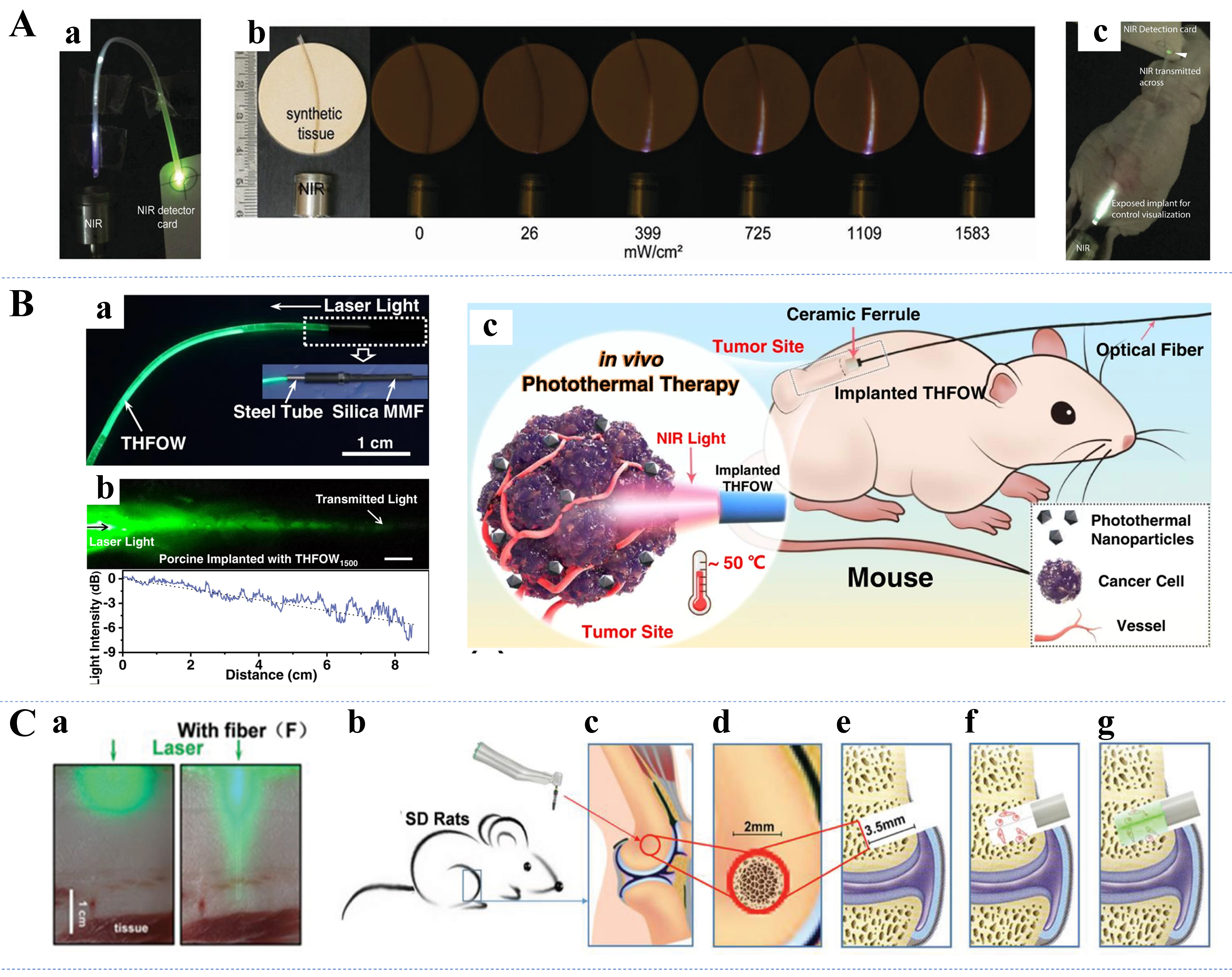 Flexible optical waveguides for health: a review of the current status and technological perspectives