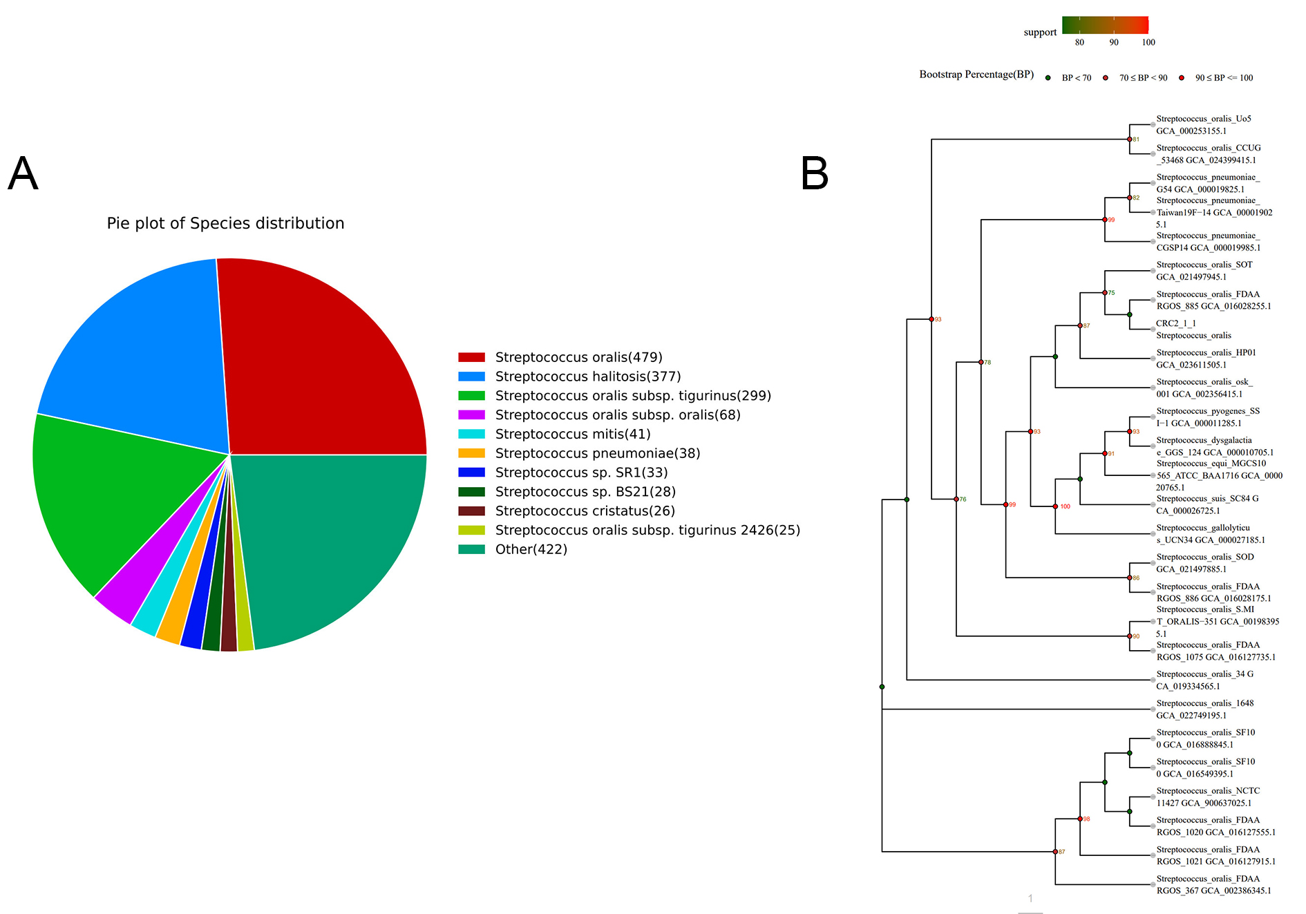 Whole-genome sequencing and analysis of a novel strain <i>Streptococcus oralis CRC211</i> from colorectal tumor
