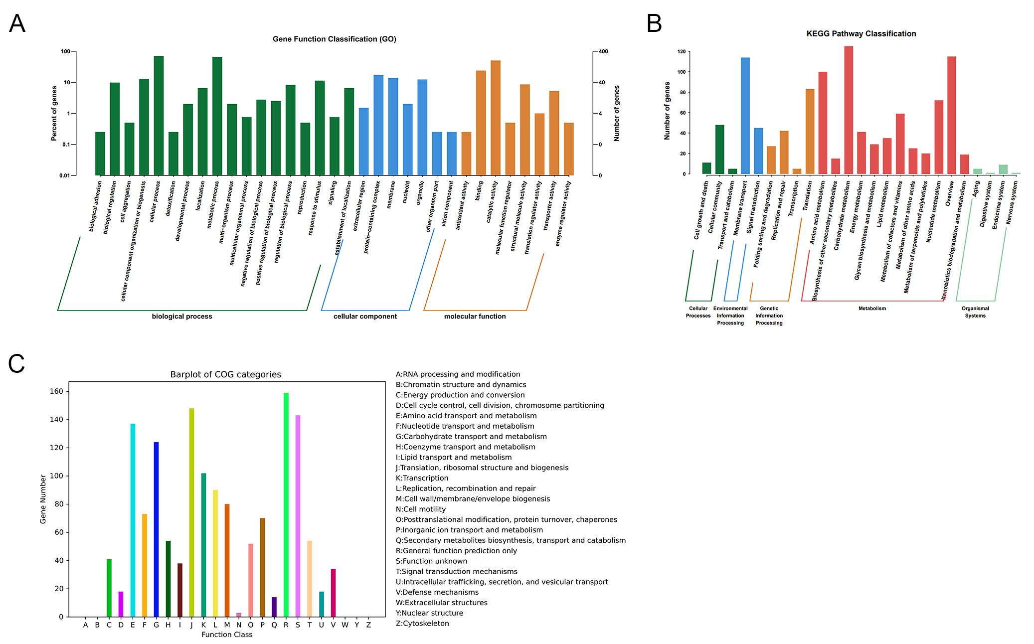 Whole-genome sequencing and analysis of a novel strain <i>Streptococcus oralis CRC211</i> from colorectal tumor