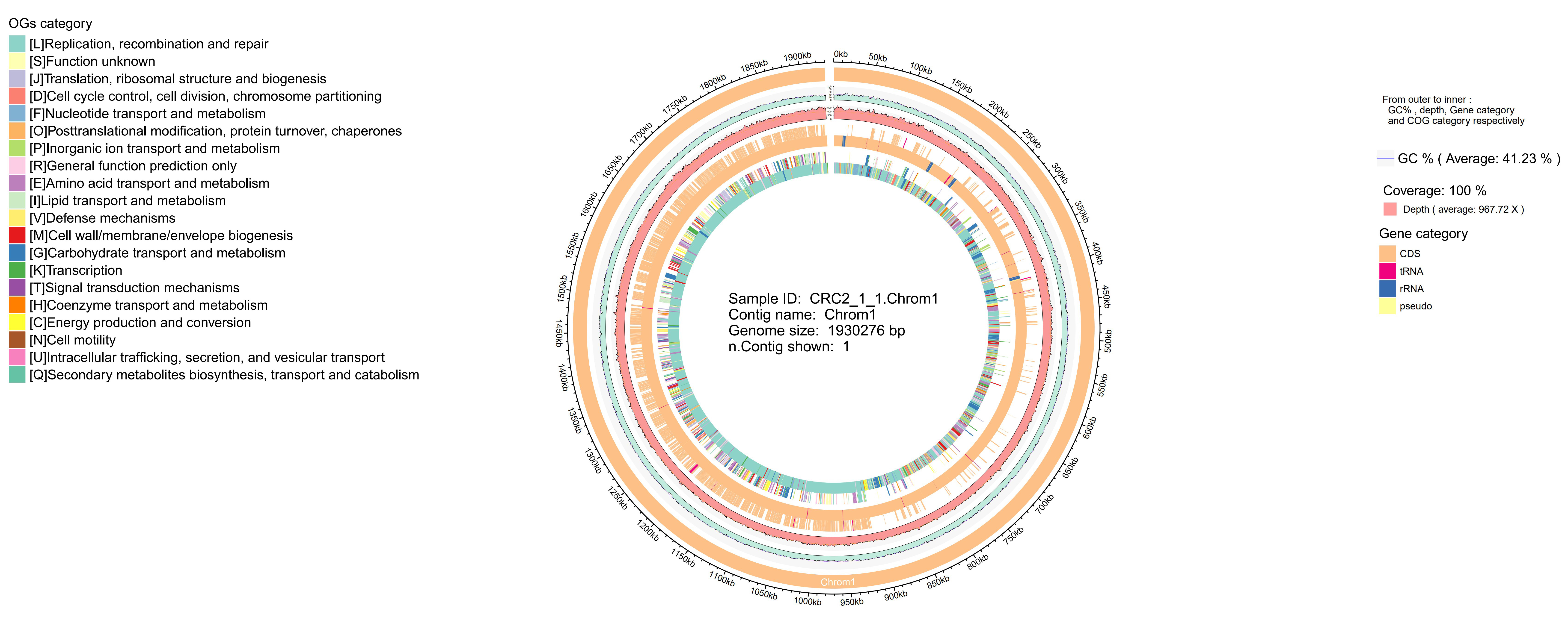 Whole-genome sequencing and analysis of a novel strain <i>Streptococcus oralis CRC211</i> from colorectal tumor