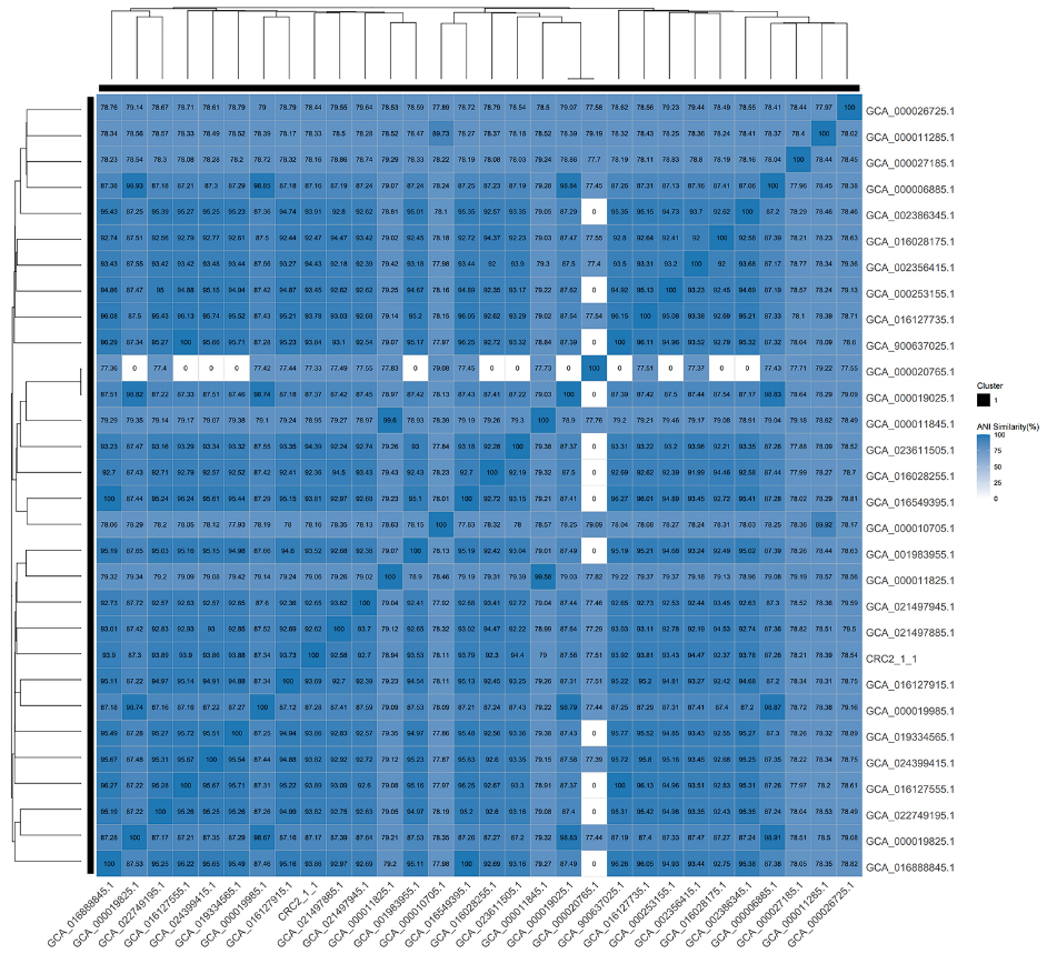 Whole-genome sequencing and analysis of a novel strain <i>Streptococcus oralis CRC211</i> from colorectal tumor