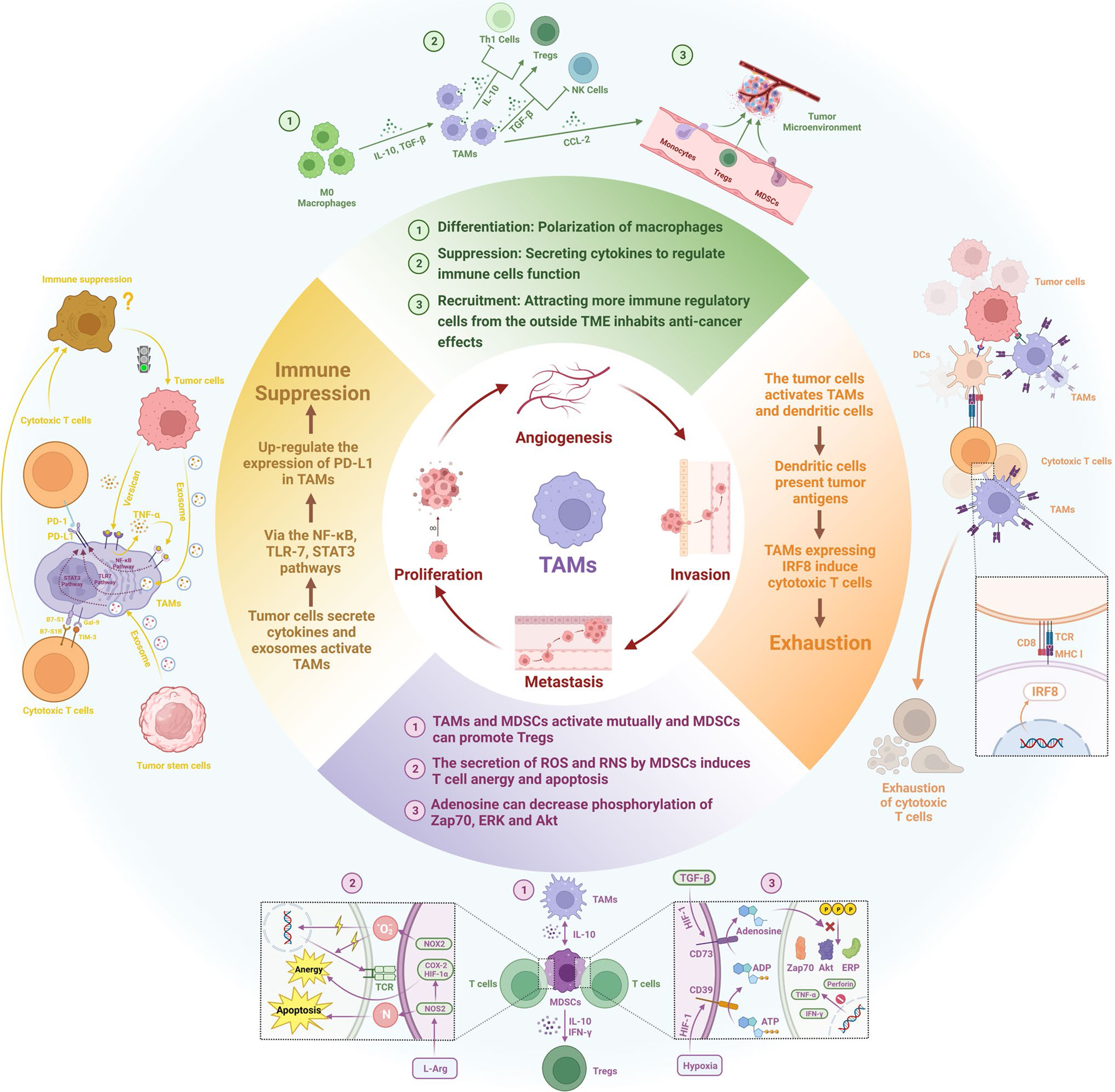Targeting the hypoxia signaling pathway with nanomedicine to reverse immunotherapy resistance