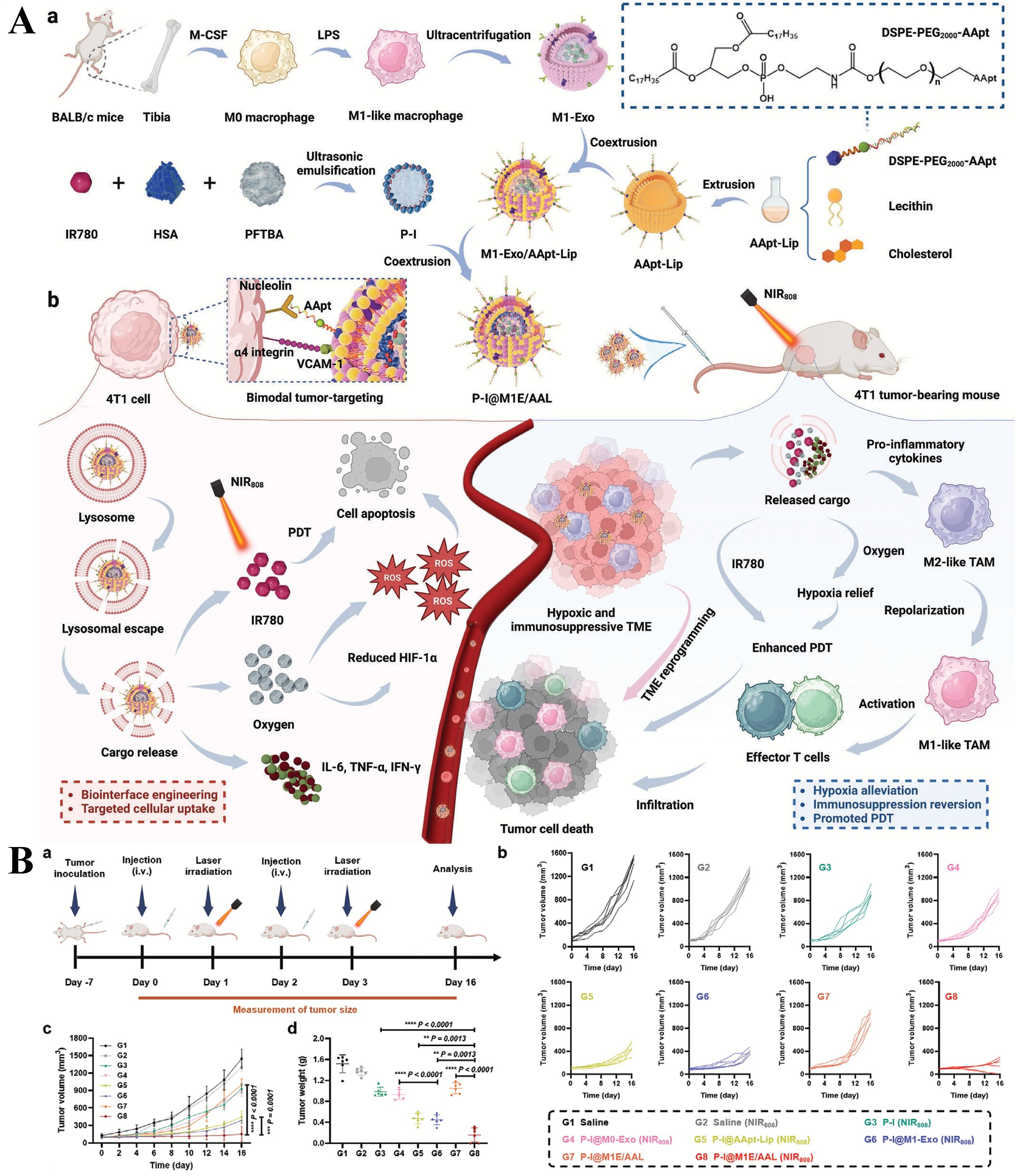 Targeting the hypoxia signaling pathway with nanomedicine to reverse immunotherapy resistance