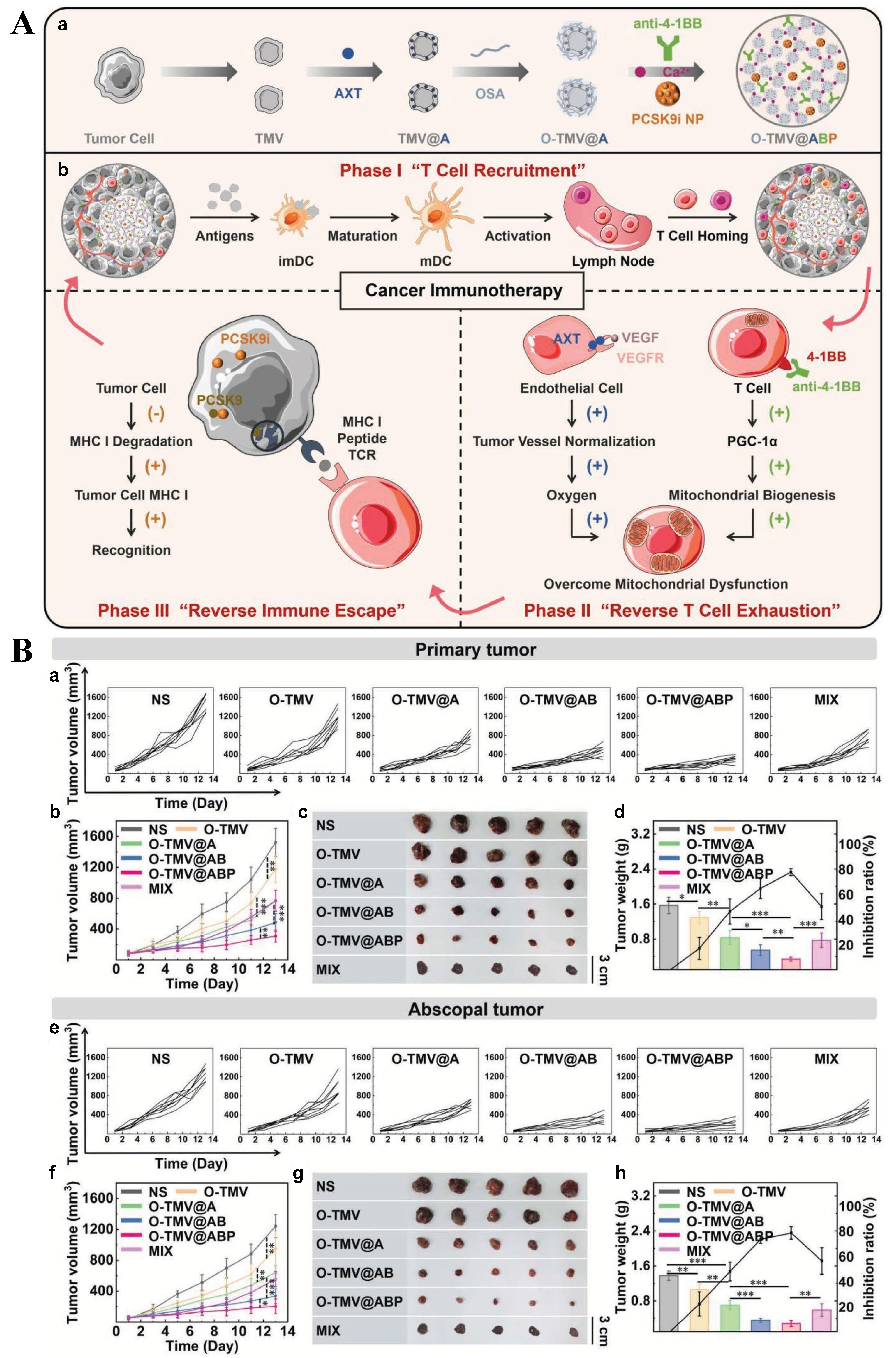Targeting the hypoxia signaling pathway with nanomedicine to reverse immunotherapy resistance