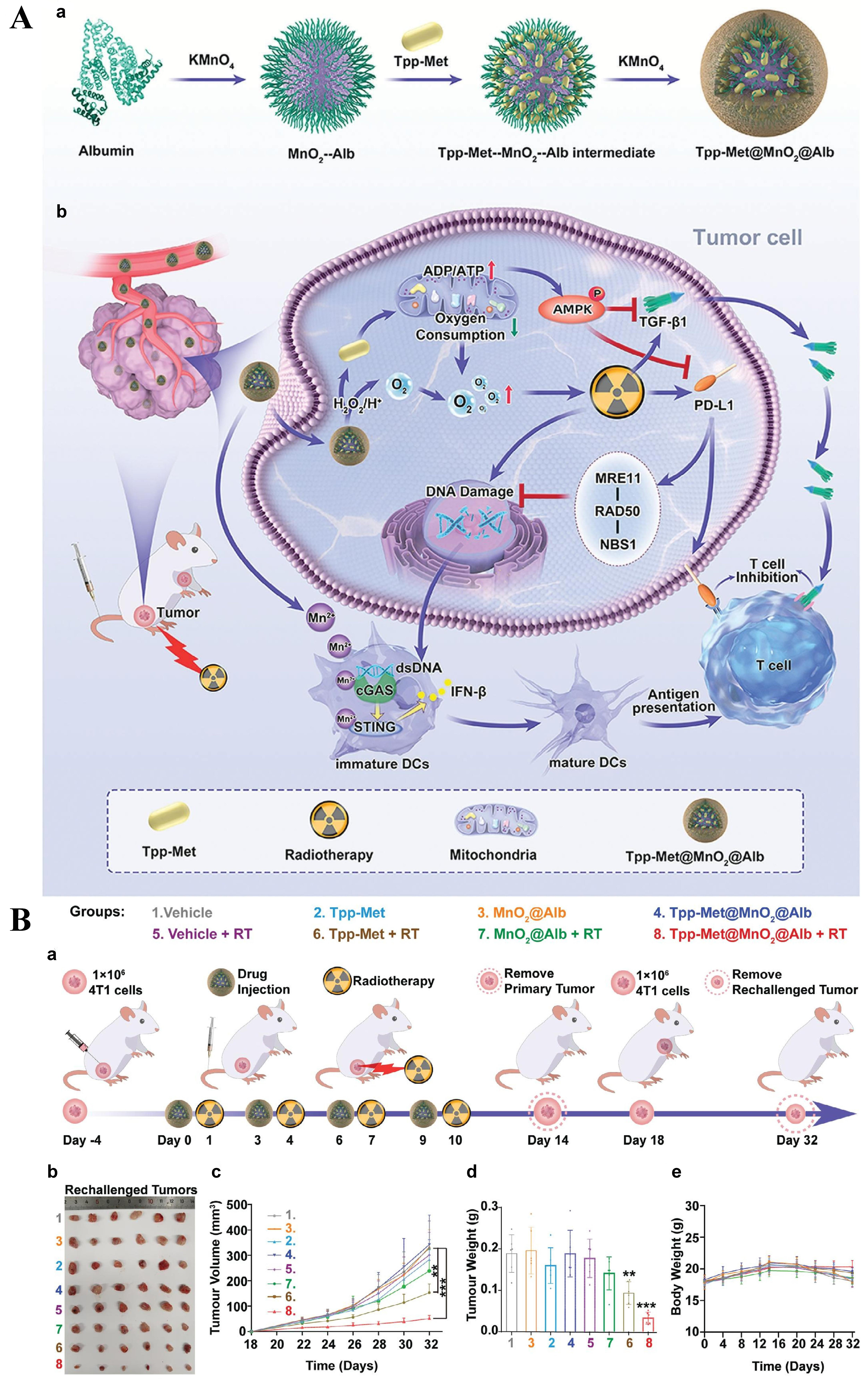 Targeting the hypoxia signaling pathway with nanomedicine to reverse immunotherapy resistance