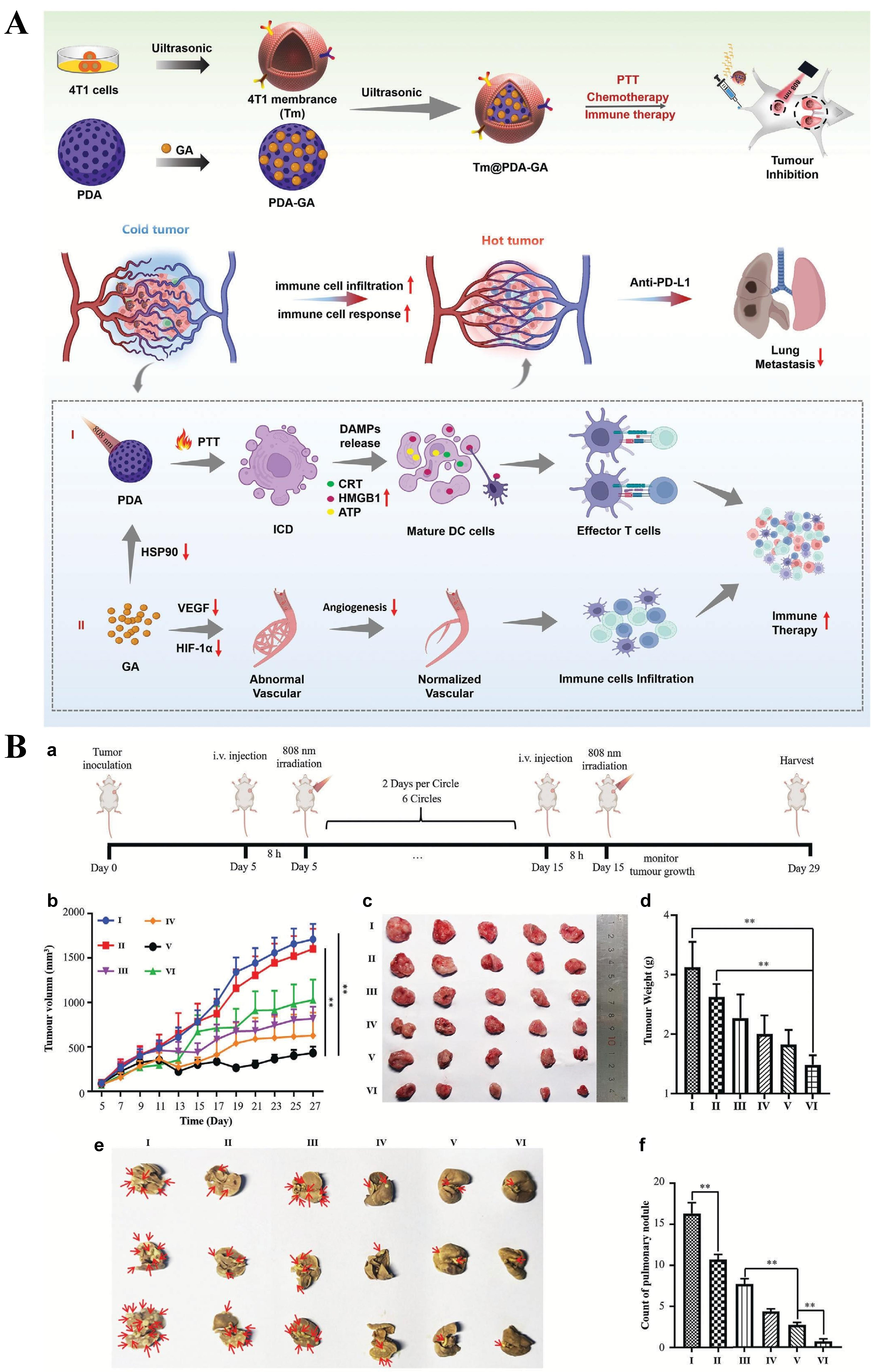 Targeting the hypoxia signaling pathway with nanomedicine to reverse immunotherapy resistance
