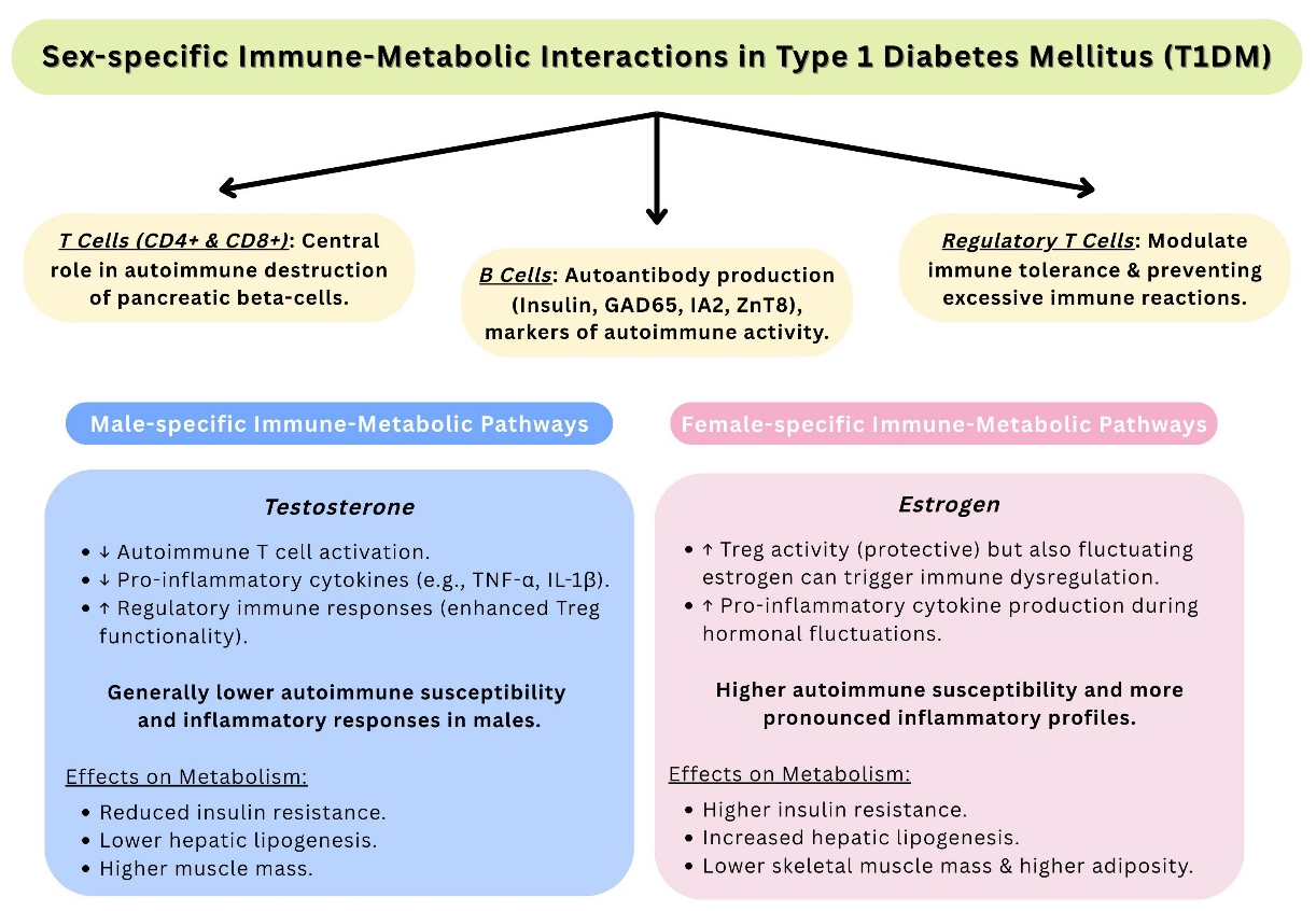 Type 1 diabetes mellitus: the liver’s role, sex-specific outcomes, and advances in disease-modifying therapies - a literature review