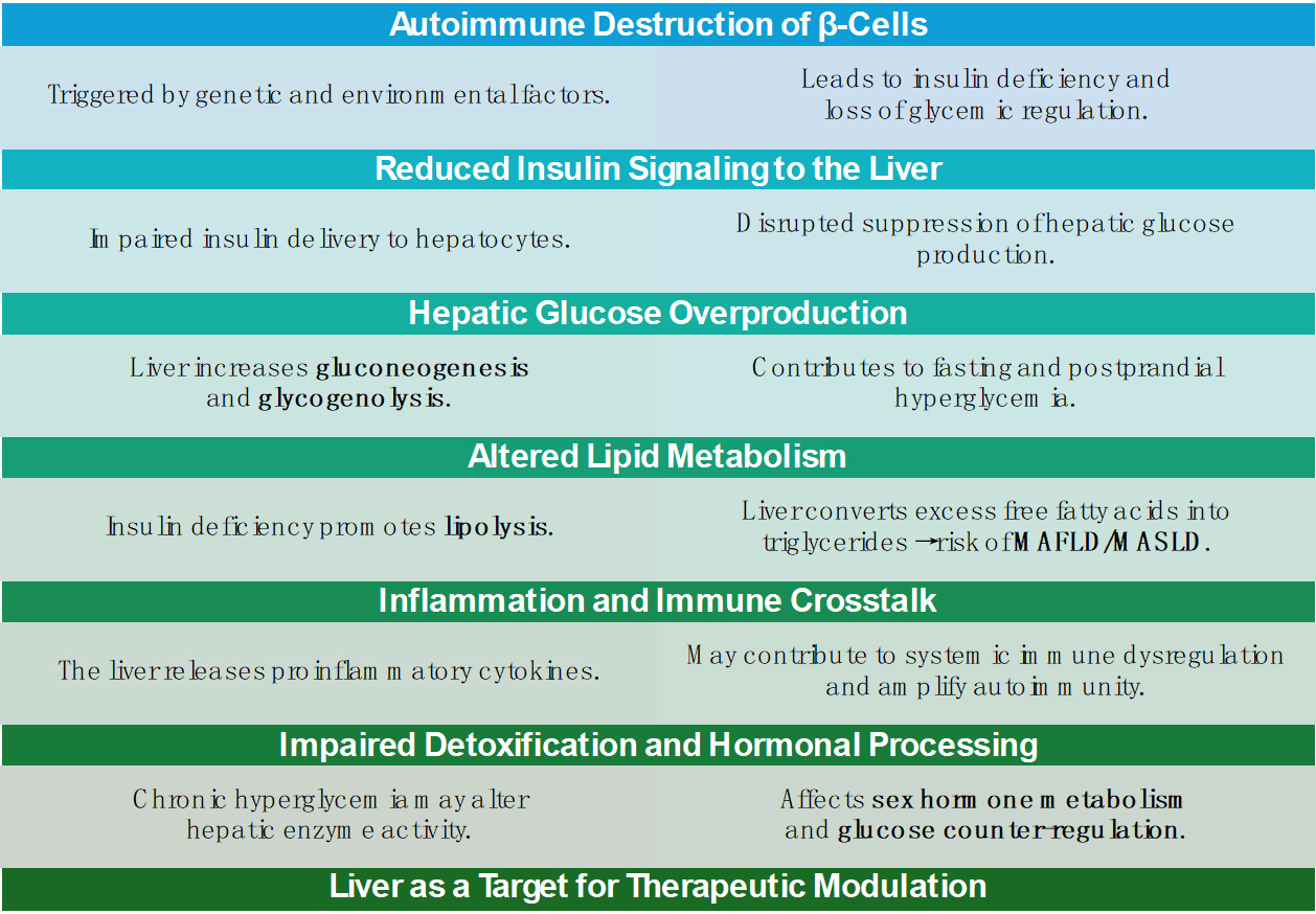 Type 1 diabetes mellitus: the liver’s role, sex-specific outcomes, and advances in disease-modifying therapies - a literature review