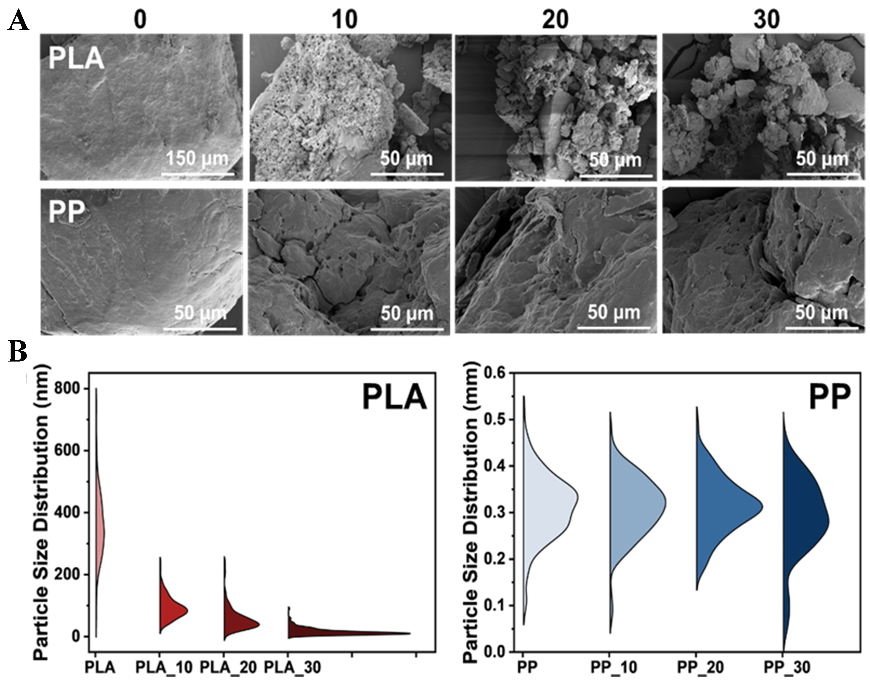 Effects of photoaging on biofilm development and microbial community in polypropylene and polylactic acid microplastics in freshwater