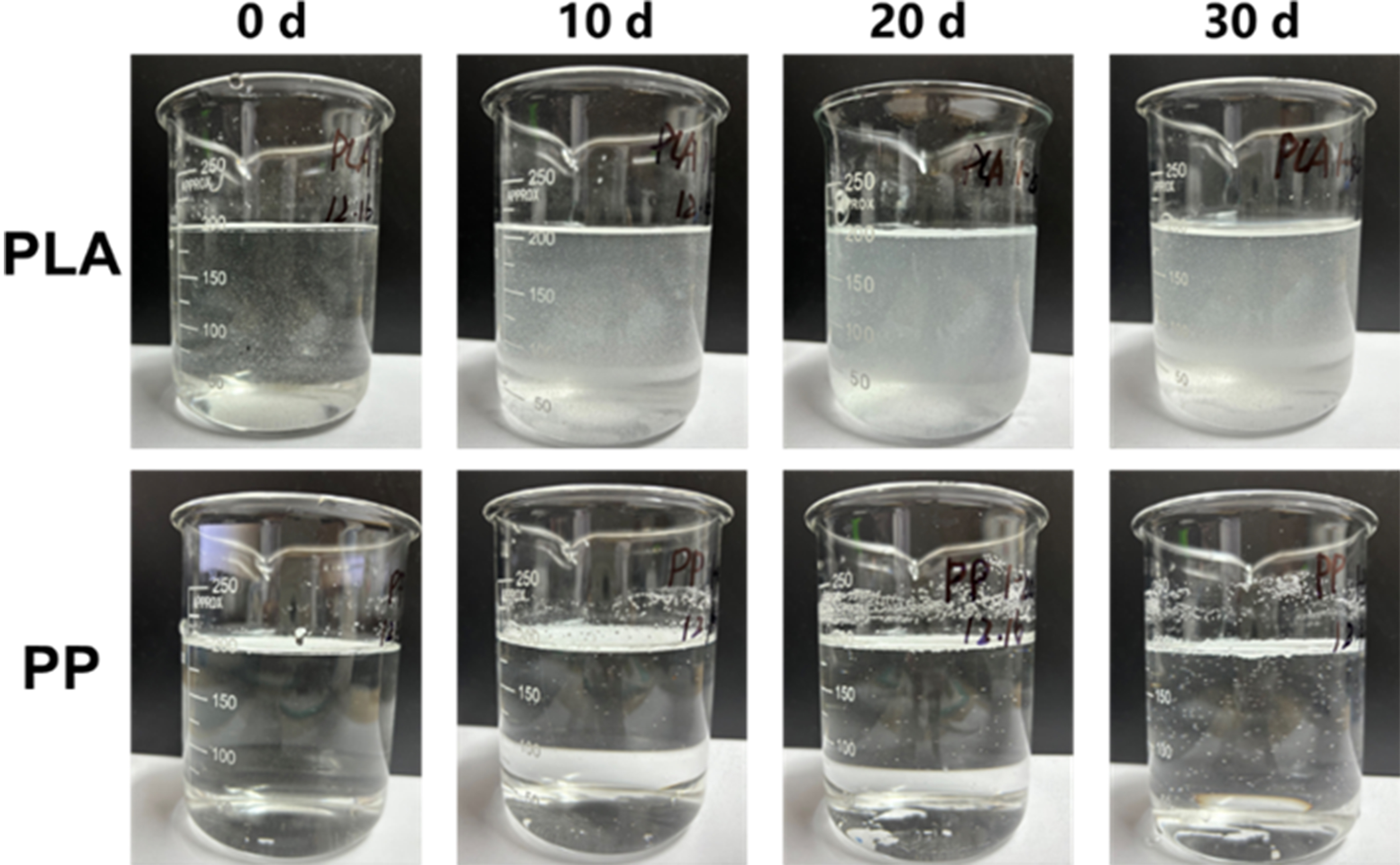 Effects of photoaging on biofilm development and microbial community in polypropylene and polylactic acid microplastics in freshwater