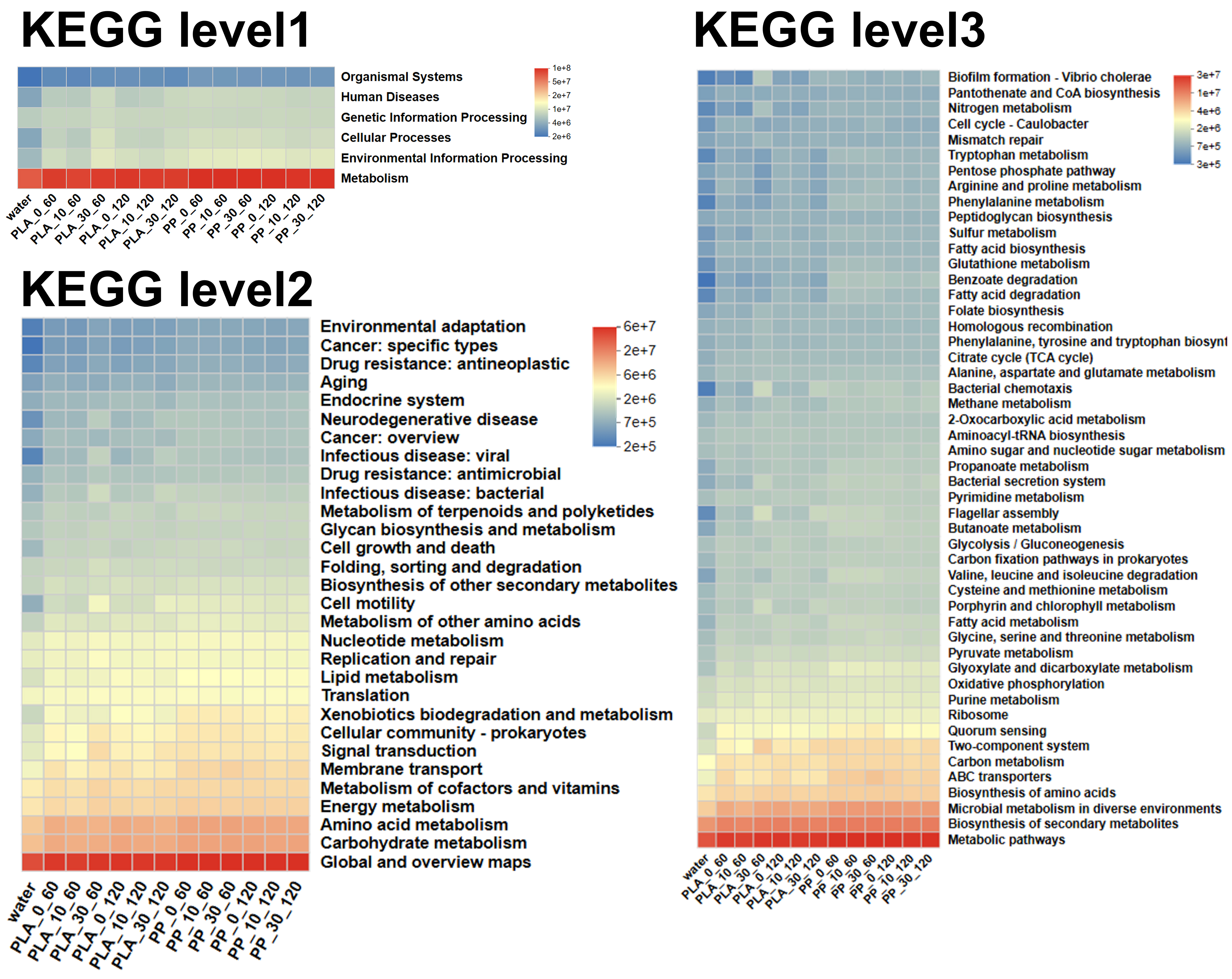 Effects of photoaging on biofilm development and microbial community in polypropylene and polylactic acid microplastics in freshwater
