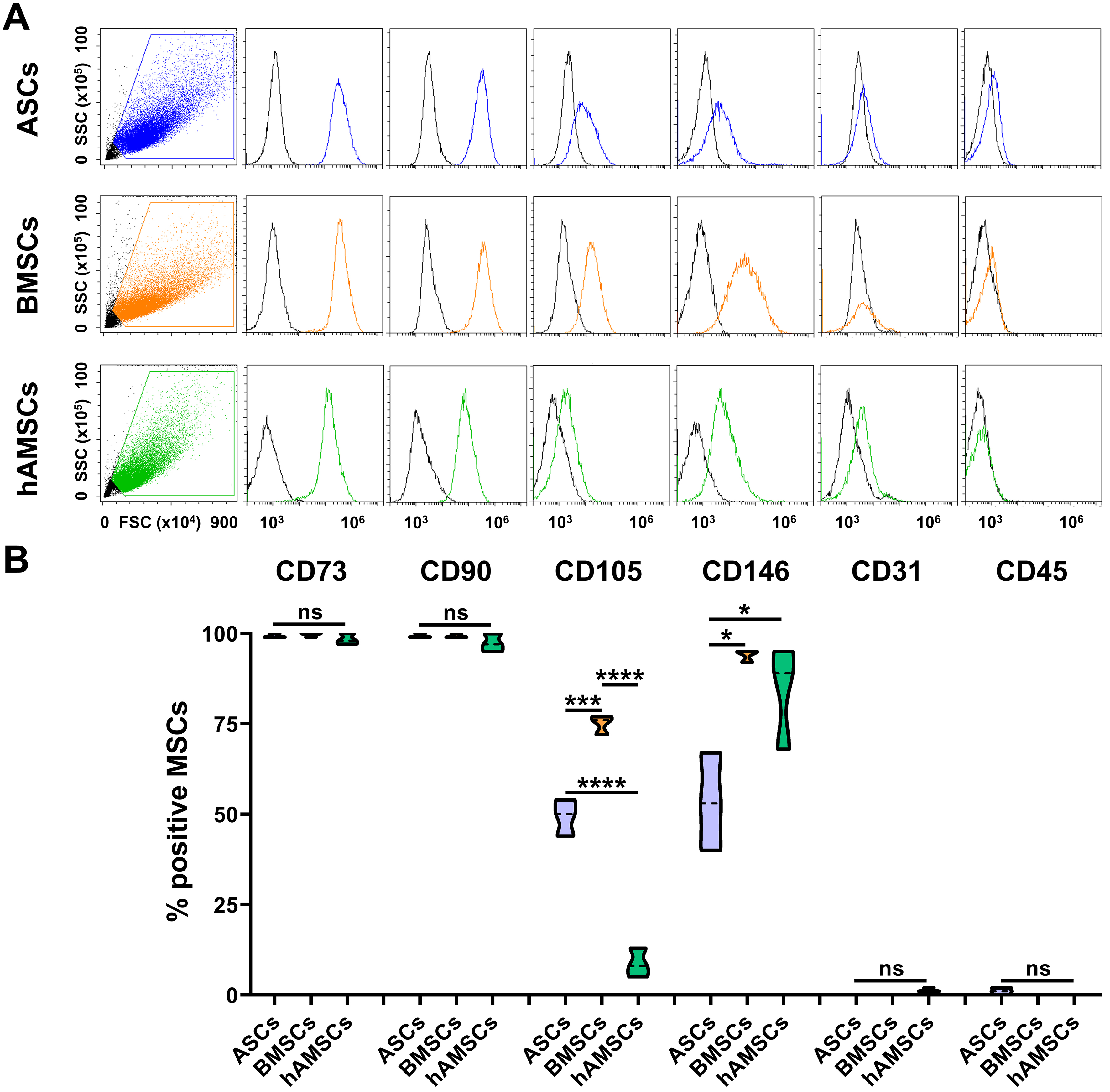 Comparative analysis of adipose-, bone marrow-, and amniotic membrane-derived MSC secretomes and EVs reveals shared and source-specific therapeutic signatures for osteoarthritis