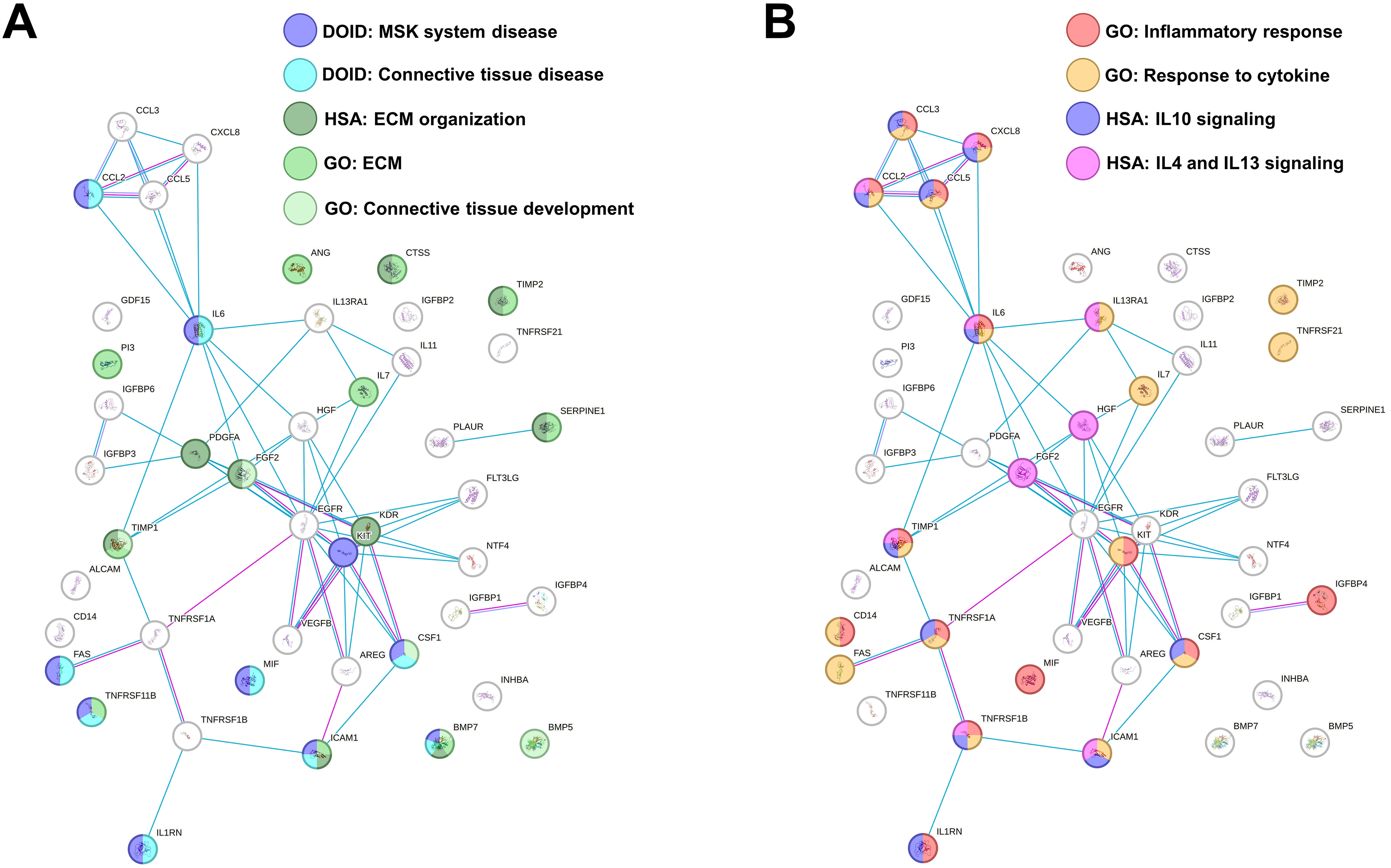 Comparative analysis of adipose-, bone marrow-, and amniotic membrane-derived MSC secretomes and EVs reveals shared and source-specific therapeutic signatures for osteoarthritis
