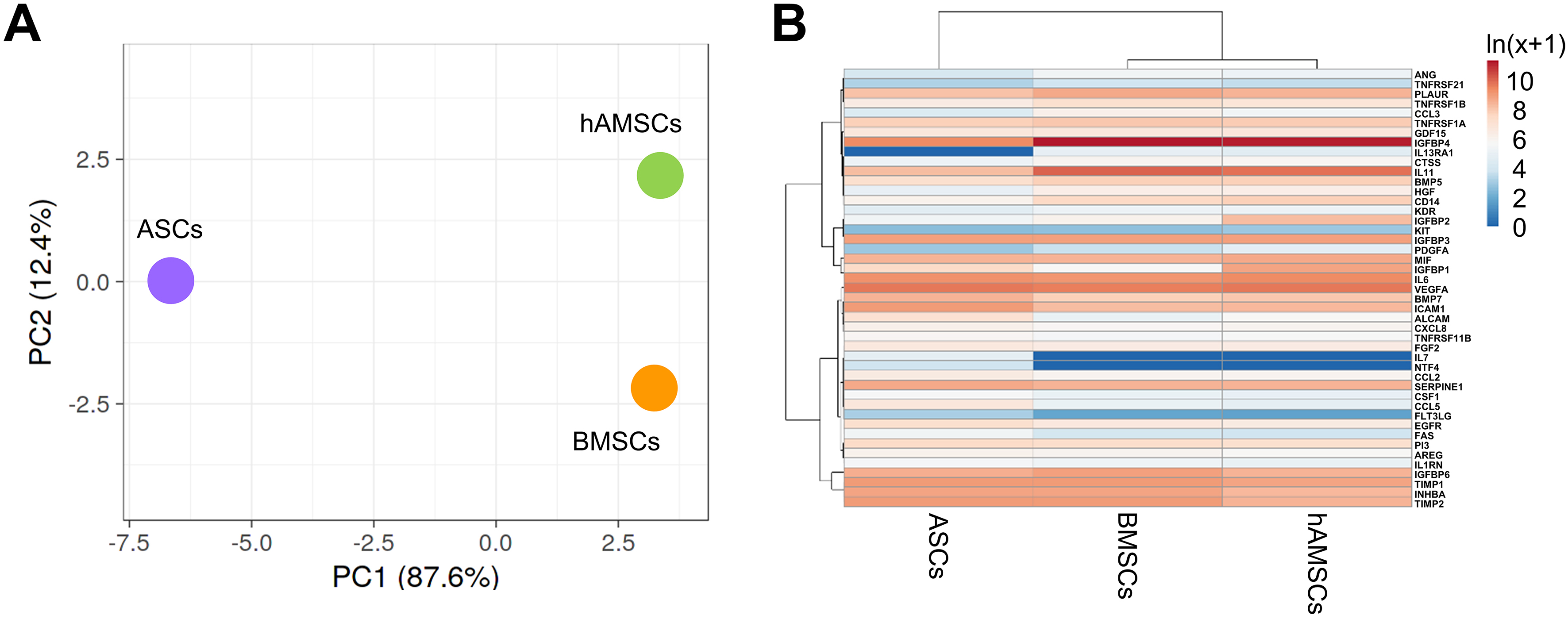 Comparative analysis of adipose-, bone marrow-, and amniotic membrane-derived MSC secretomes and EVs reveals shared and source-specific therapeutic signatures for osteoarthritis