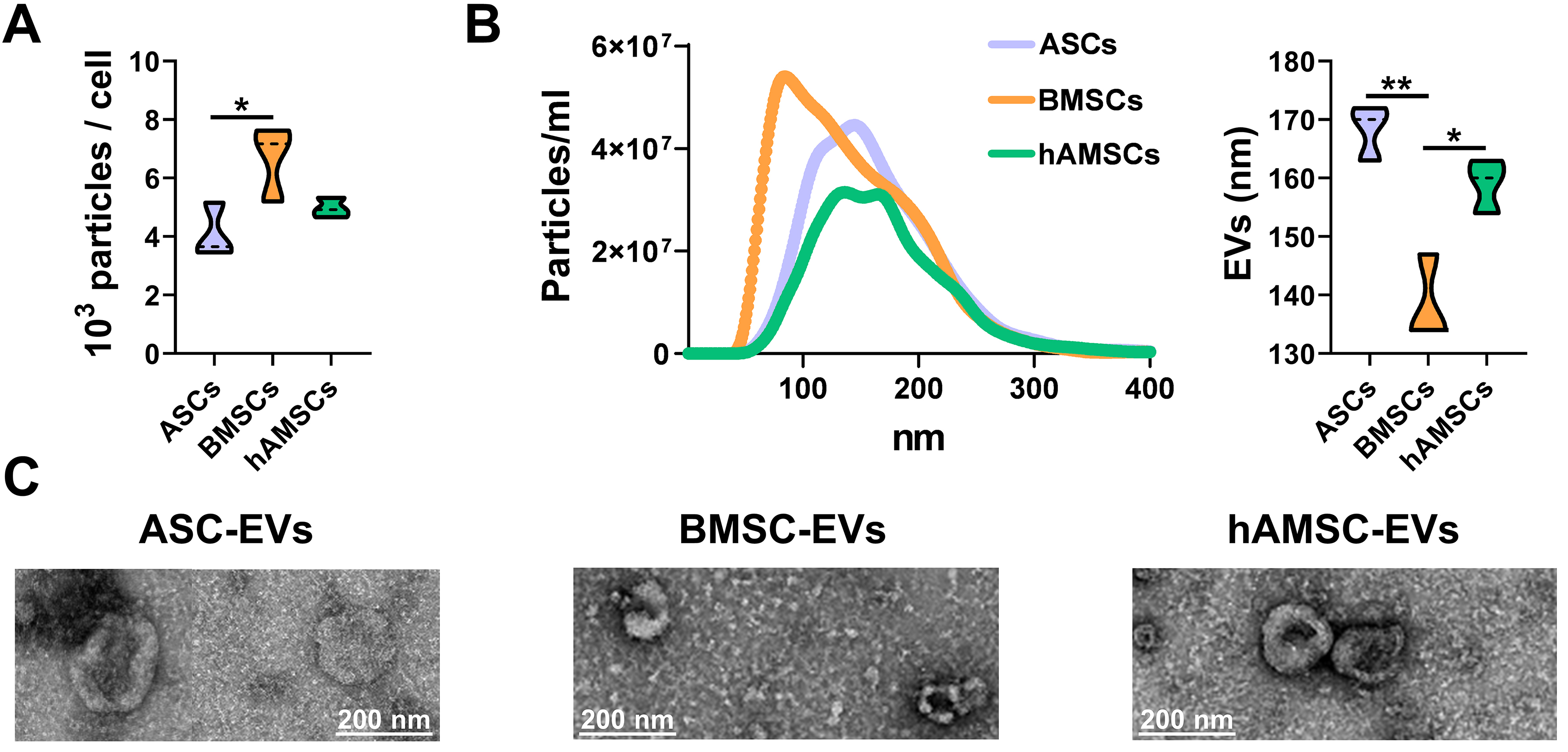 Comparative analysis of adipose-, bone marrow-, and amniotic membrane-derived MSC secretomes and EVs reveals shared and source-specific therapeutic signatures for osteoarthritis