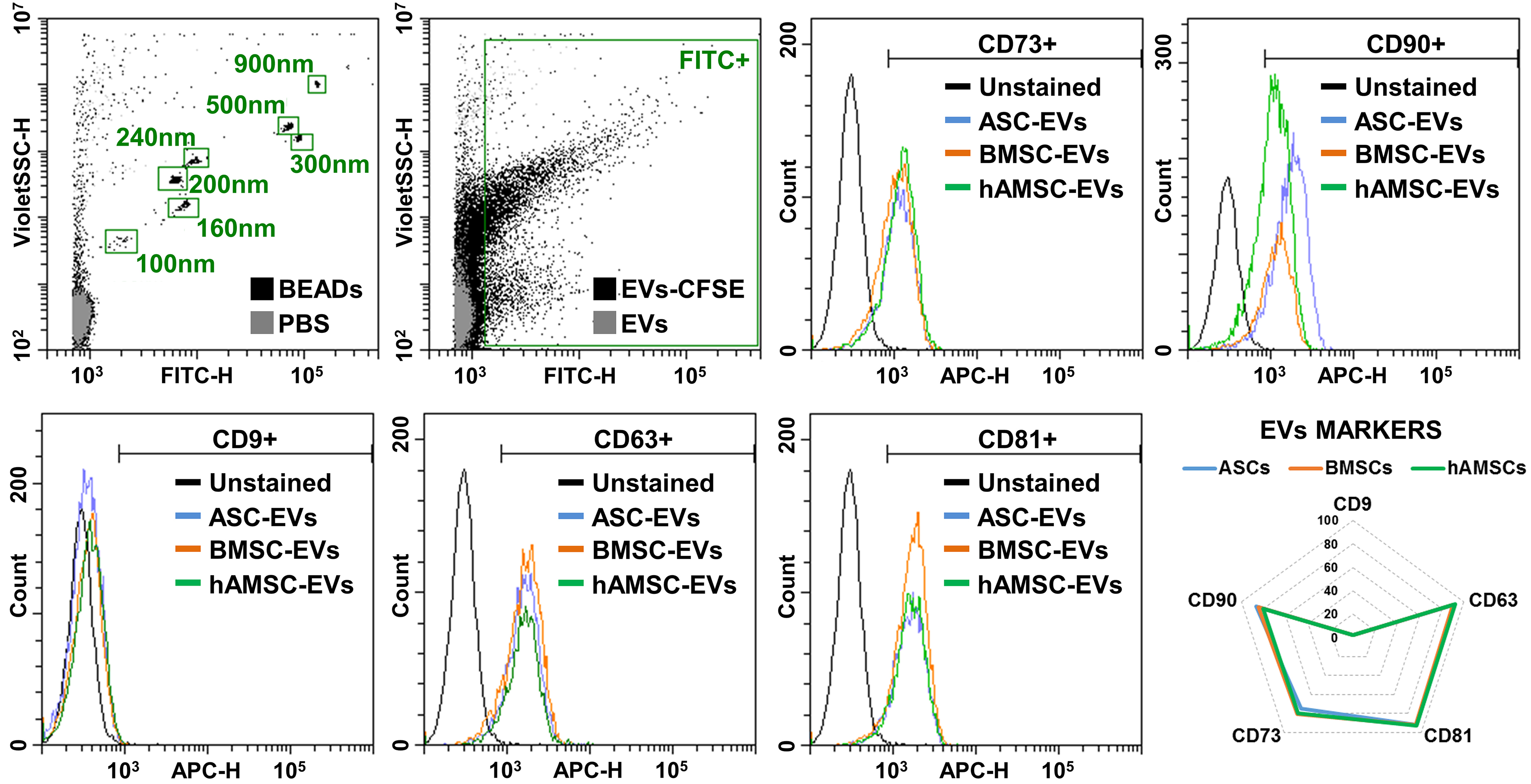 Comparative analysis of adipose-, bone marrow-, and amniotic membrane-derived MSC secretomes and EVs reveals shared and source-specific therapeutic signatures for osteoarthritis