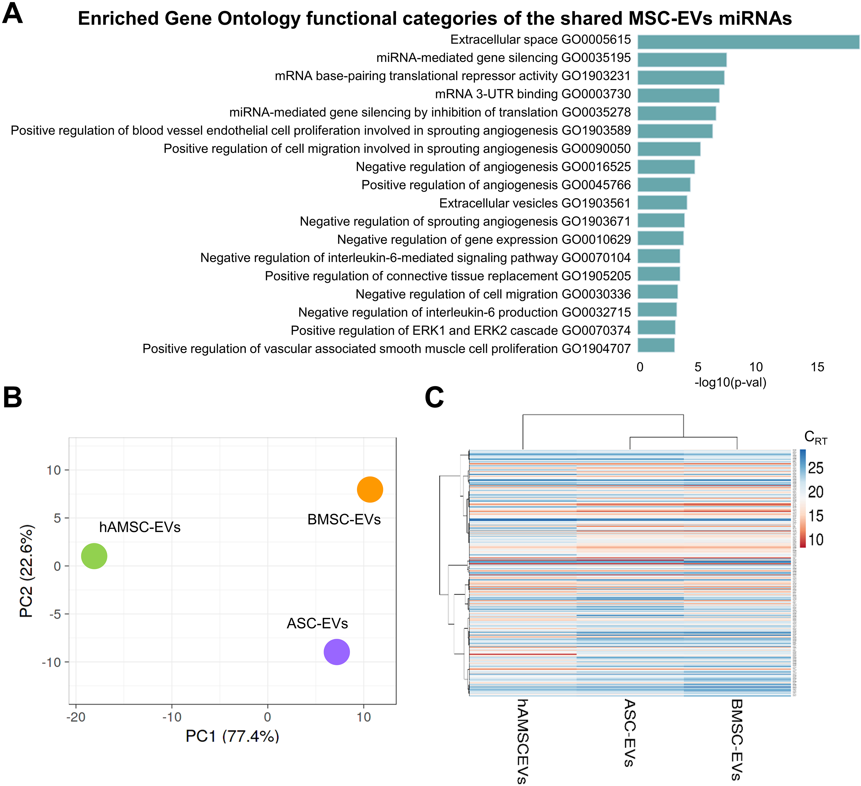 Comparative analysis of adipose-, bone marrow-, and amniotic membrane-derived MSC secretomes and EVs reveals shared and source-specific therapeutic signatures for osteoarthritis
