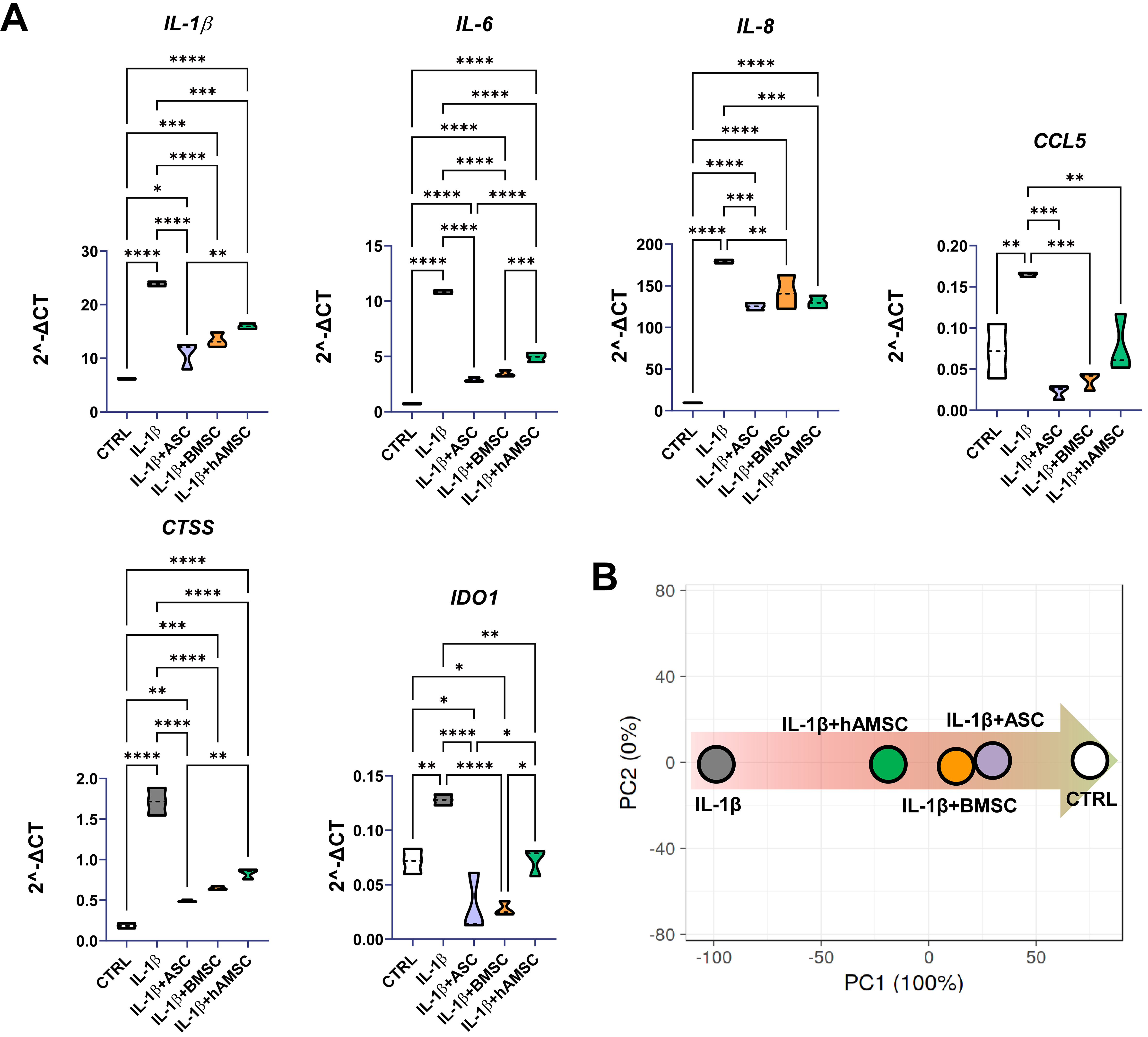 Comparative analysis of adipose-, bone marrow-, and amniotic membrane-derived MSC secretomes and EVs reveals shared and source-specific therapeutic signatures for osteoarthritis