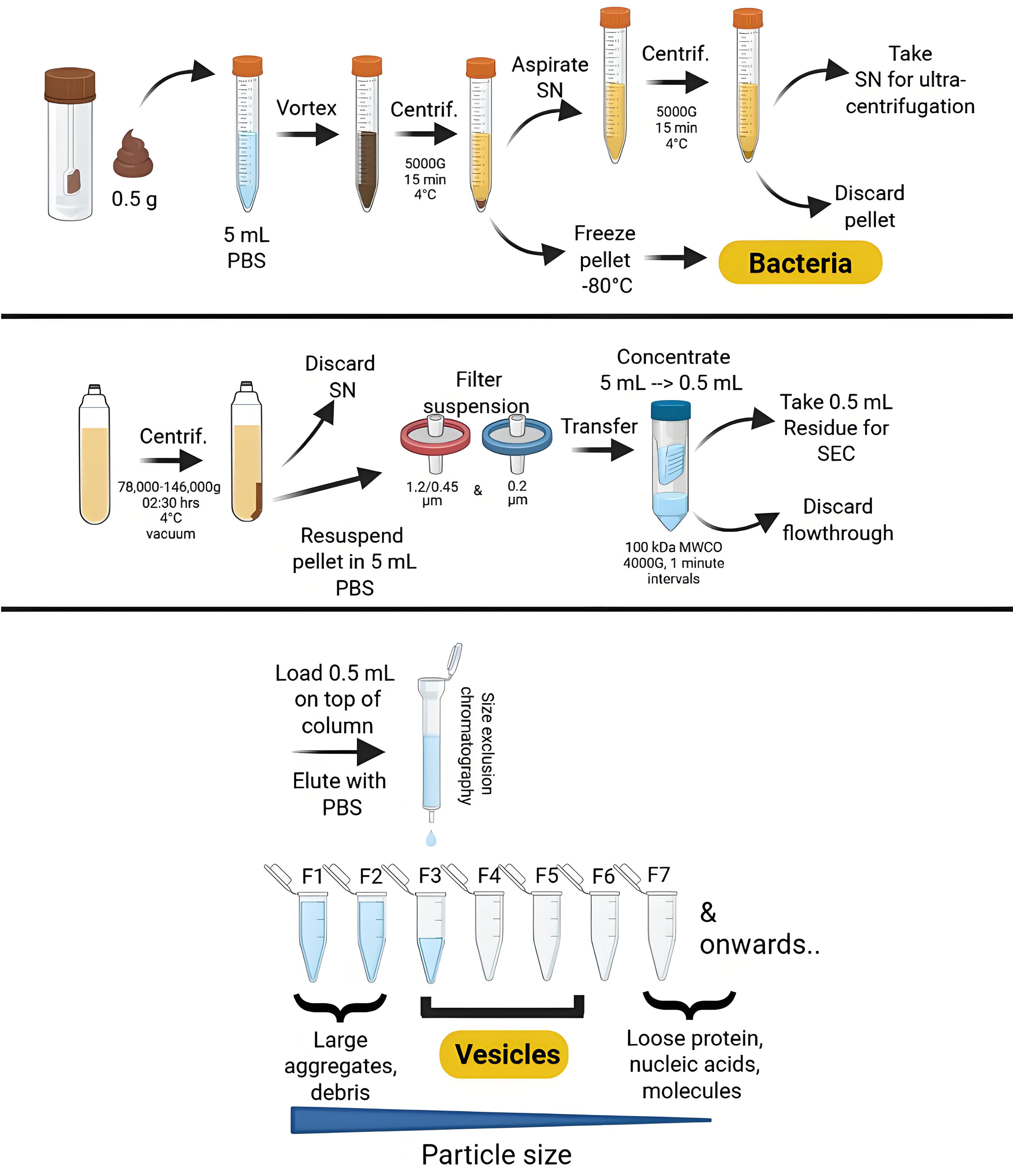 Assessment of the reproducibility of bacterial membrane vesicle isolation and characterization