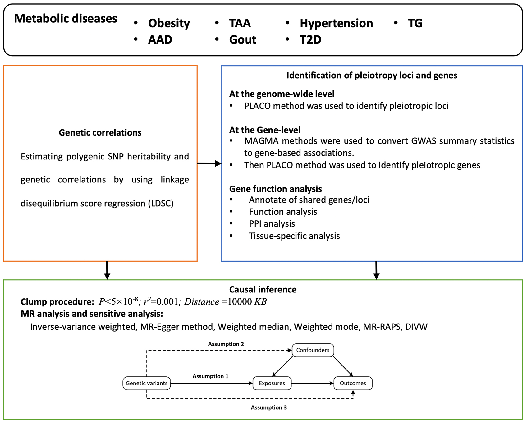 Causal relationships among seven cardiovascular-associated metabolic diseases: insights from a bidirectional Mendelian randomization study