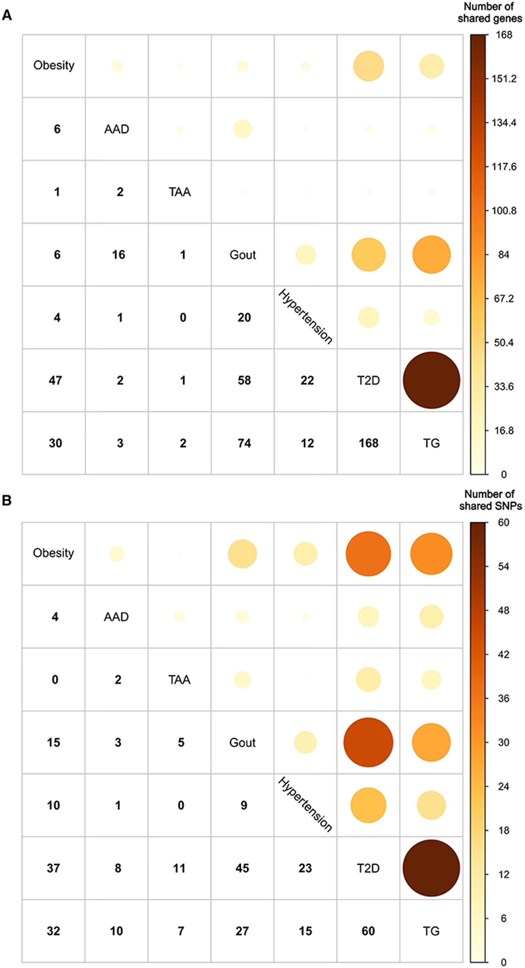 Causal relationships among seven cardiovascular-associated metabolic diseases: insights from a bidirectional Mendelian randomization study