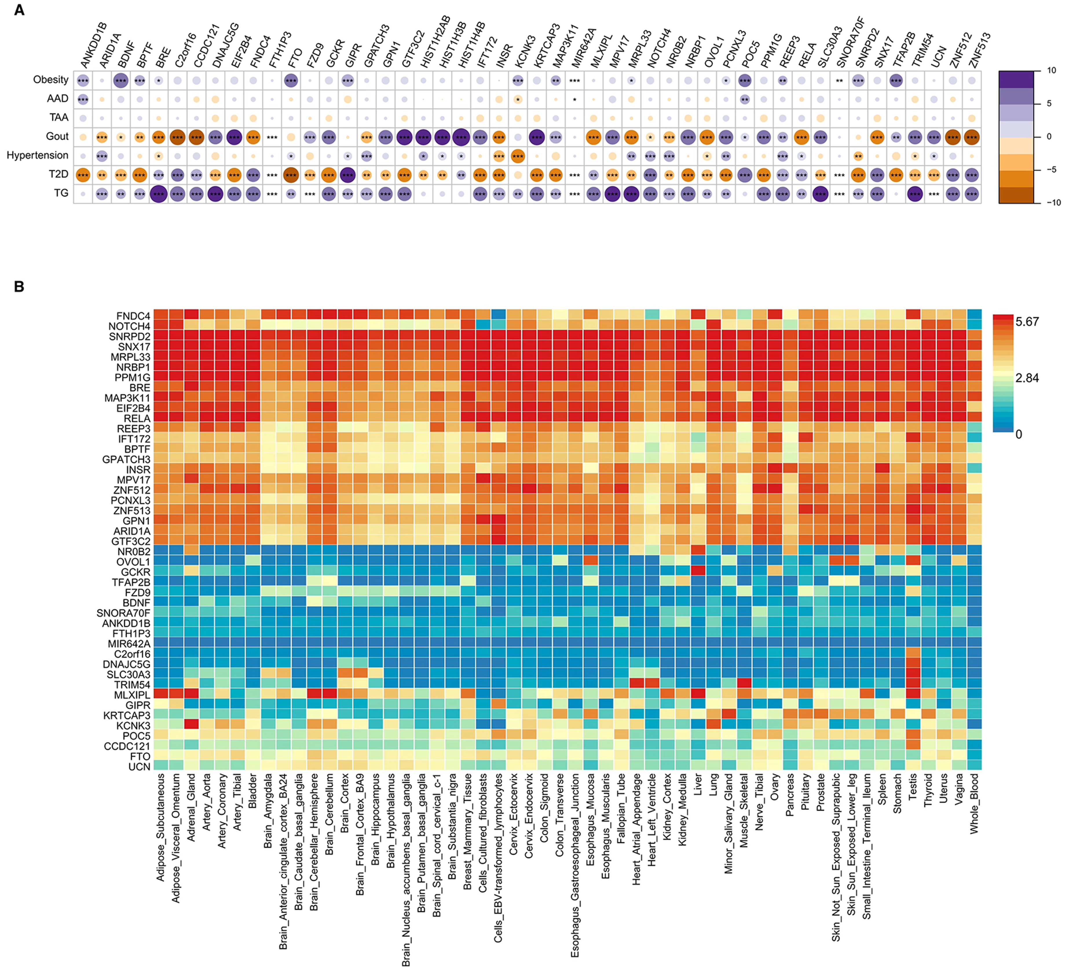 Causal relationships among seven cardiovascular-associated metabolic diseases: insights from a bidirectional Mendelian randomization study