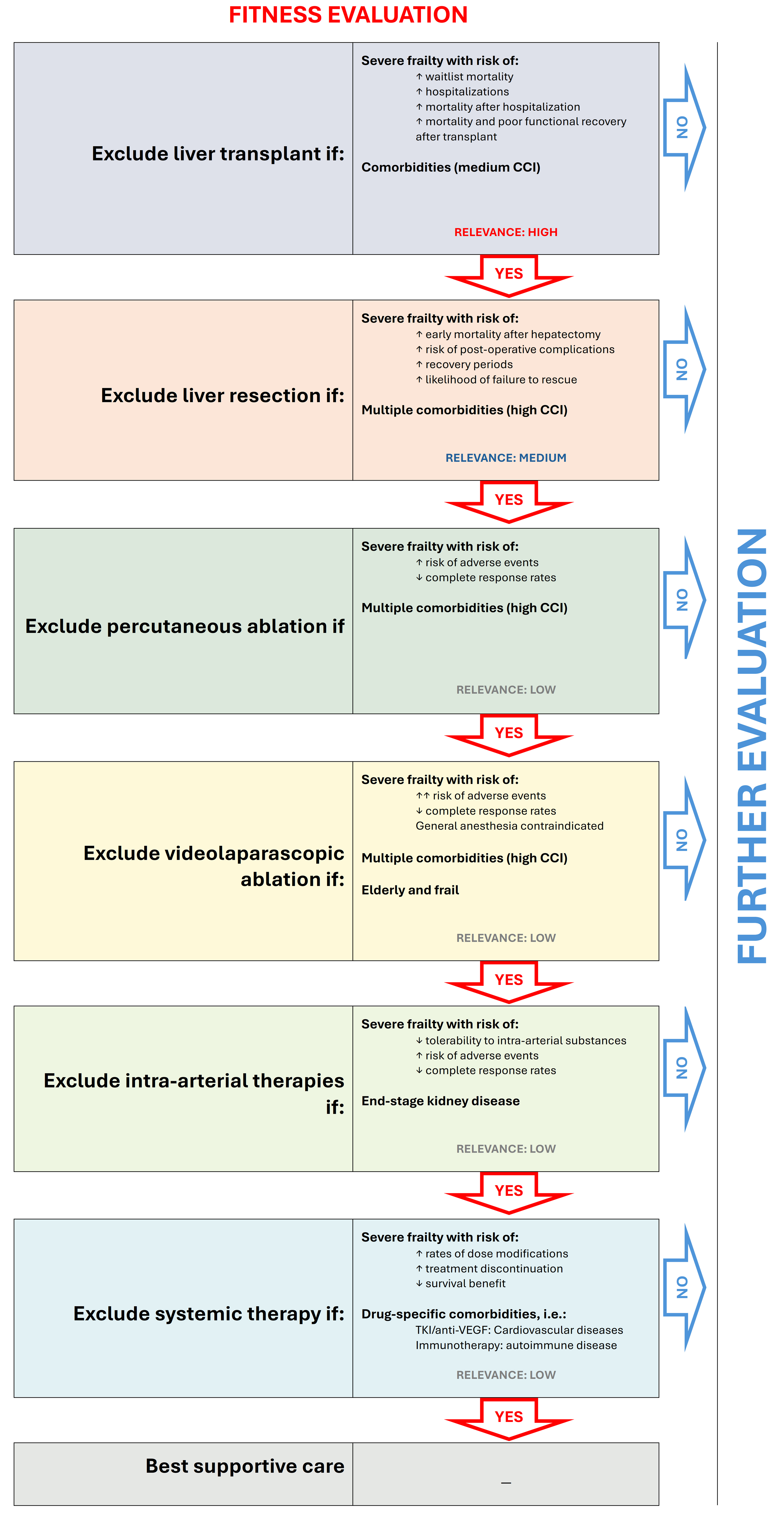 The importance of patient fitness in expert and multidisciplinary multiparametric management of HCC: a narrative review