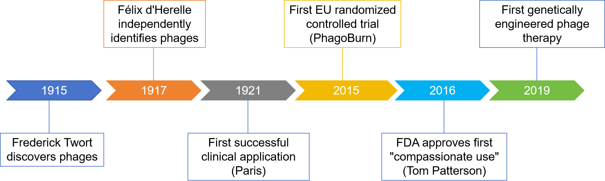 Phage therapy as a revitalized weapon for treating clinical diseases