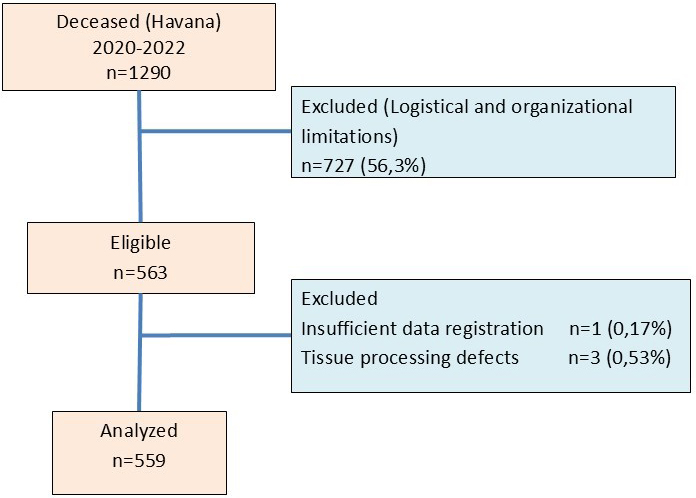 Histopathological characteristics in livers of deceased patients with COVID-19