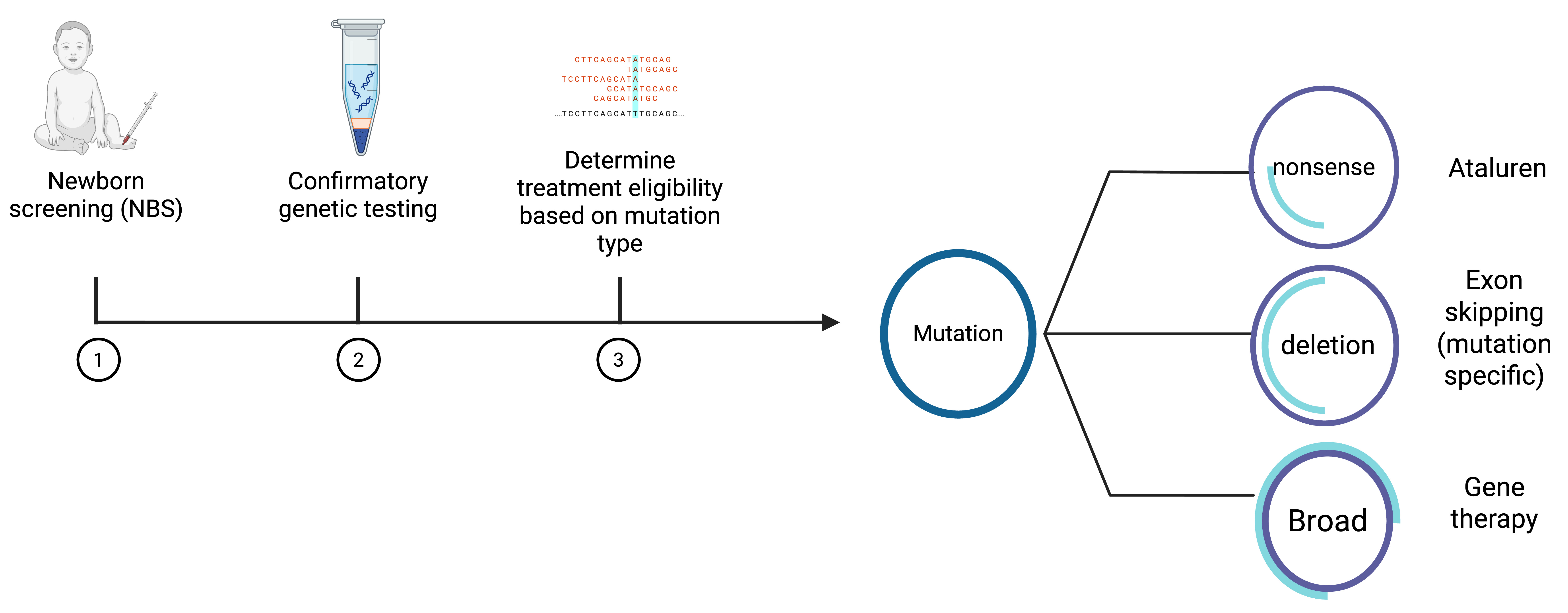 An appraisal of emerging dystrophin restoration therapies in Duchenne muscular dystrophy