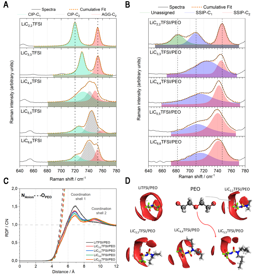 Unveiling ion coordination in solid polymer electrolytes through alkyl chain length modulation in lithium salt chemistry
