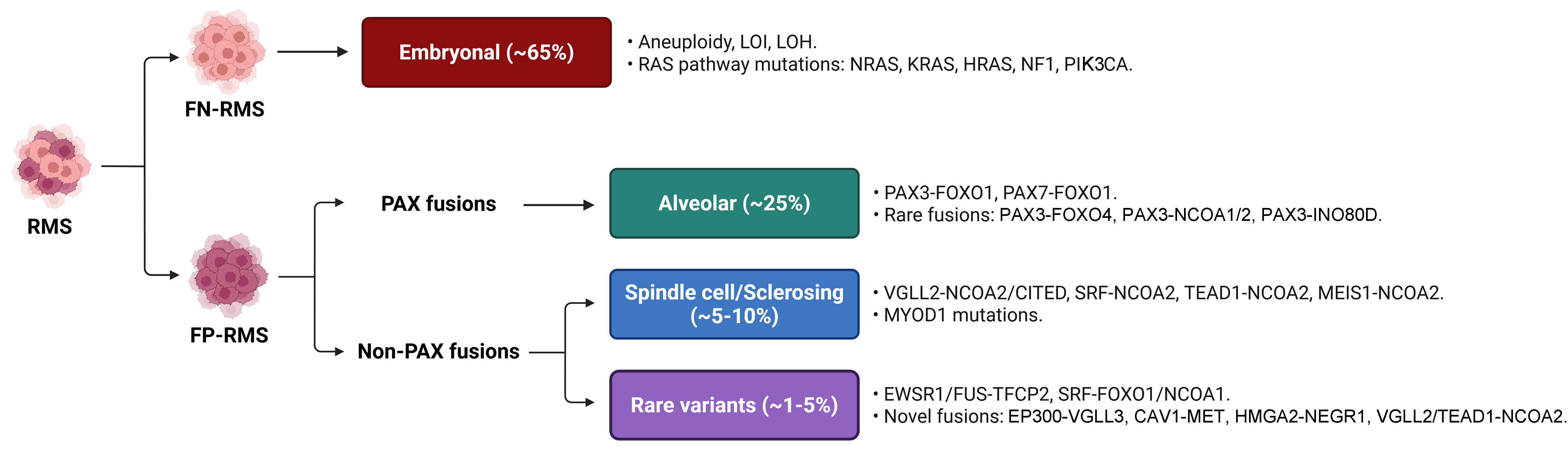 Disrupting resistance: novel therapeutic approaches to combat multidrug resistance in fusion-negative rhabdomyosarcoma