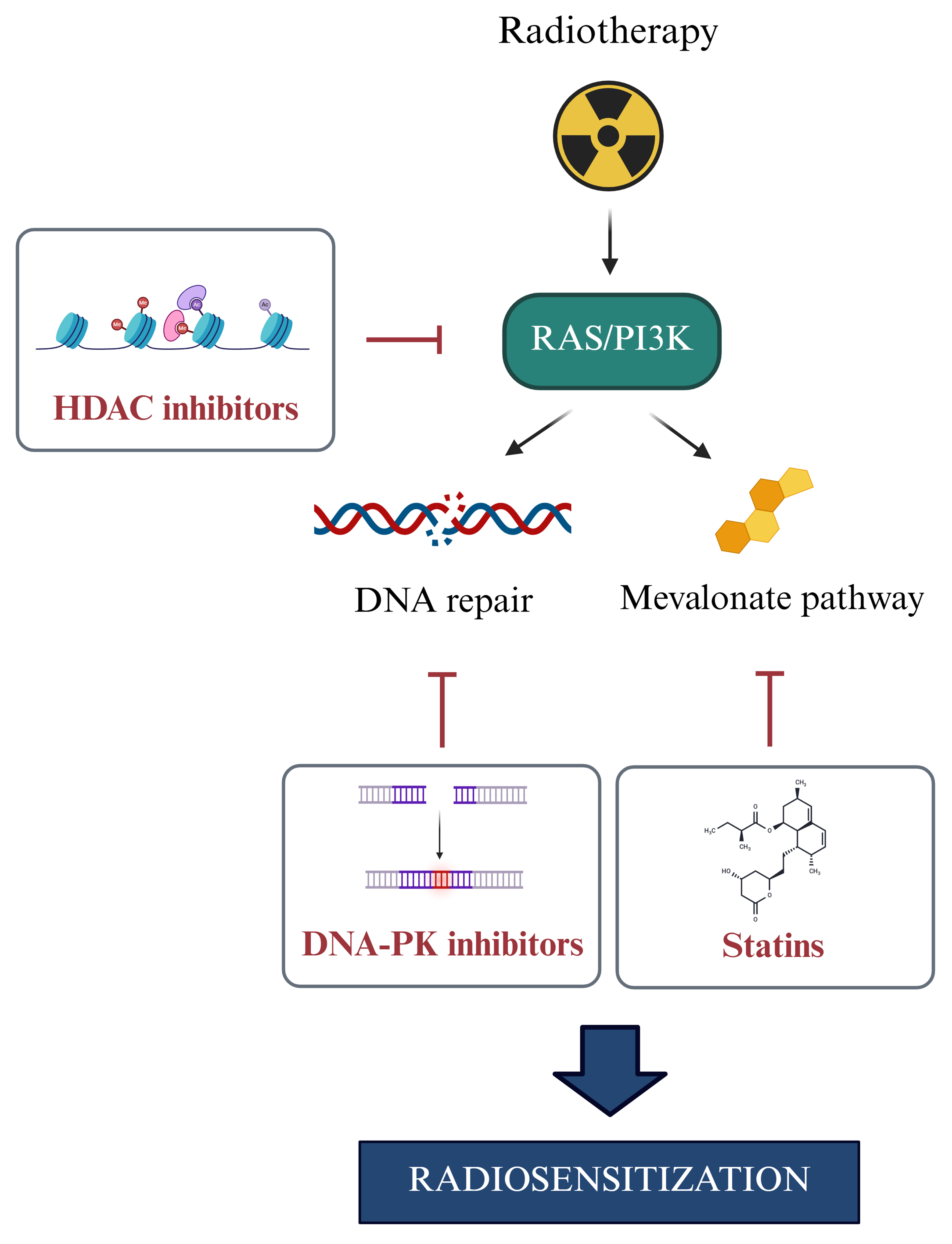 Disrupting resistance: novel therapeutic approaches to combat multidrug resistance in fusion-negative rhabdomyosarcoma