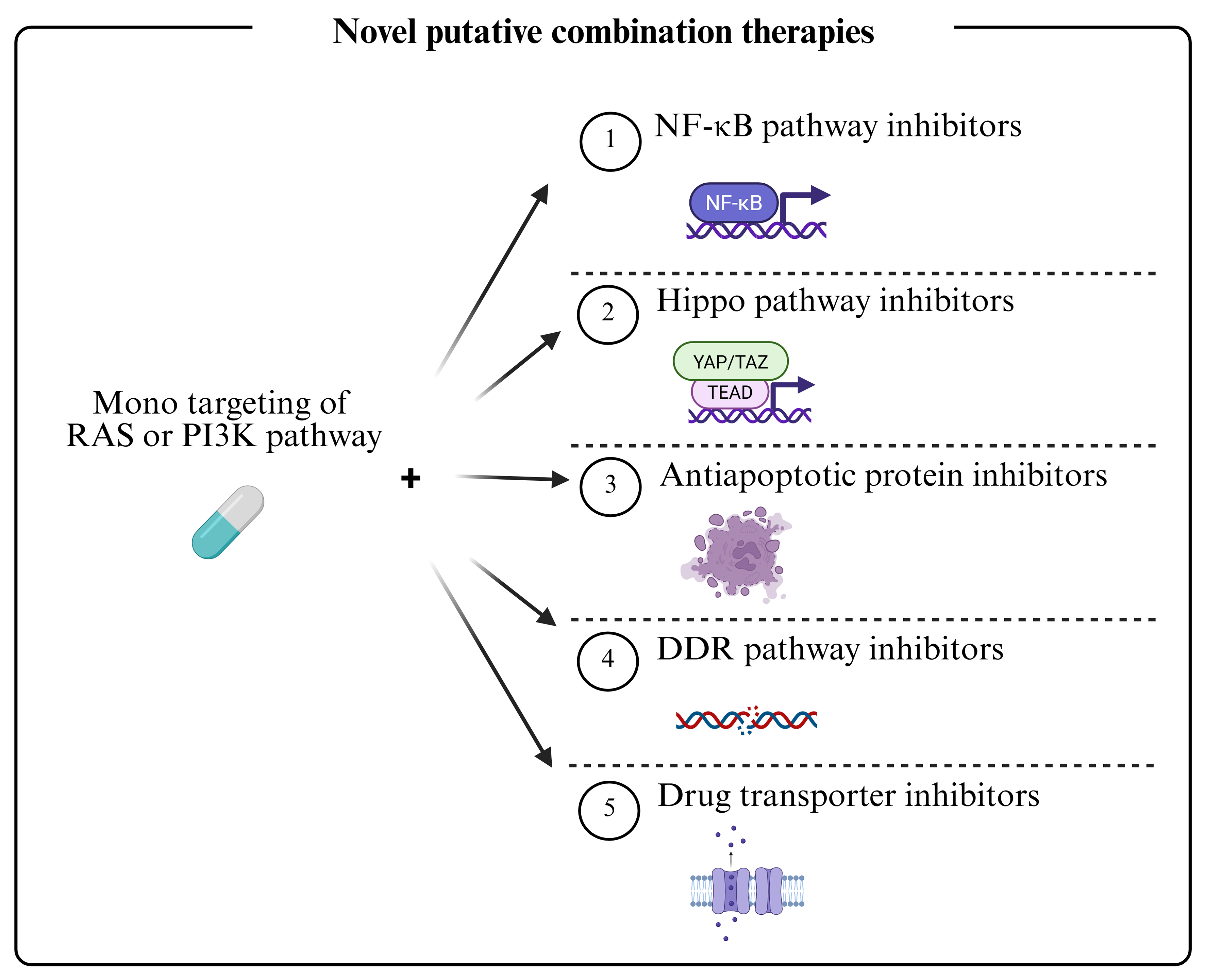 Disrupting resistance: novel therapeutic approaches to combat multidrug resistance in fusion-negative rhabdomyosarcoma