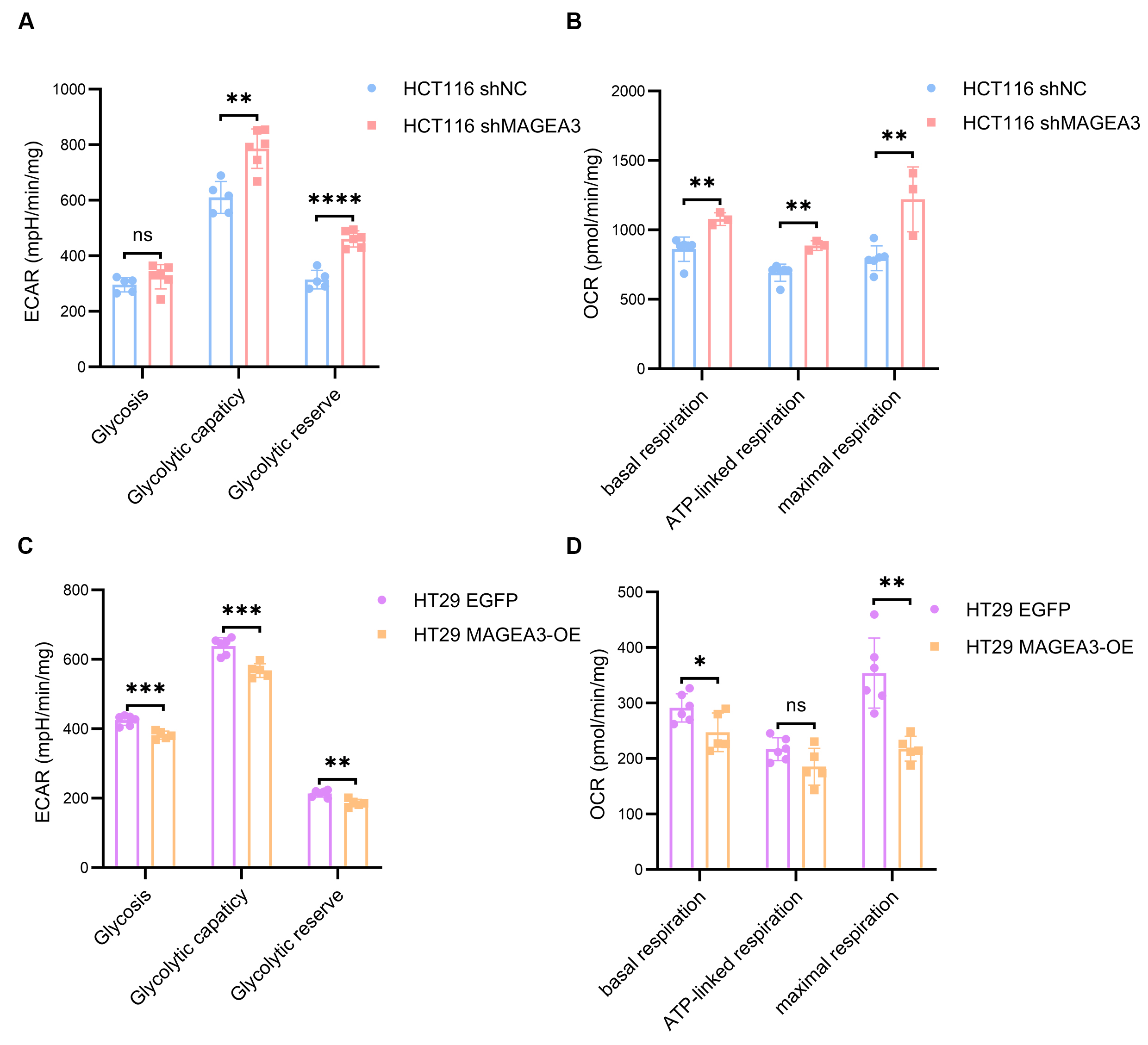 Unveiling MAGEA3: a novel predictive biomarker for bevacizumab resistance in colorectal cancer