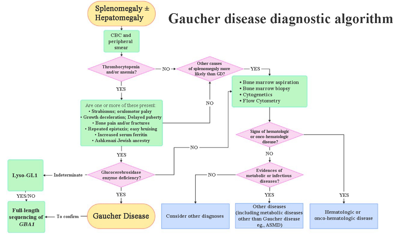 Educating hematologists about Gaucher disease