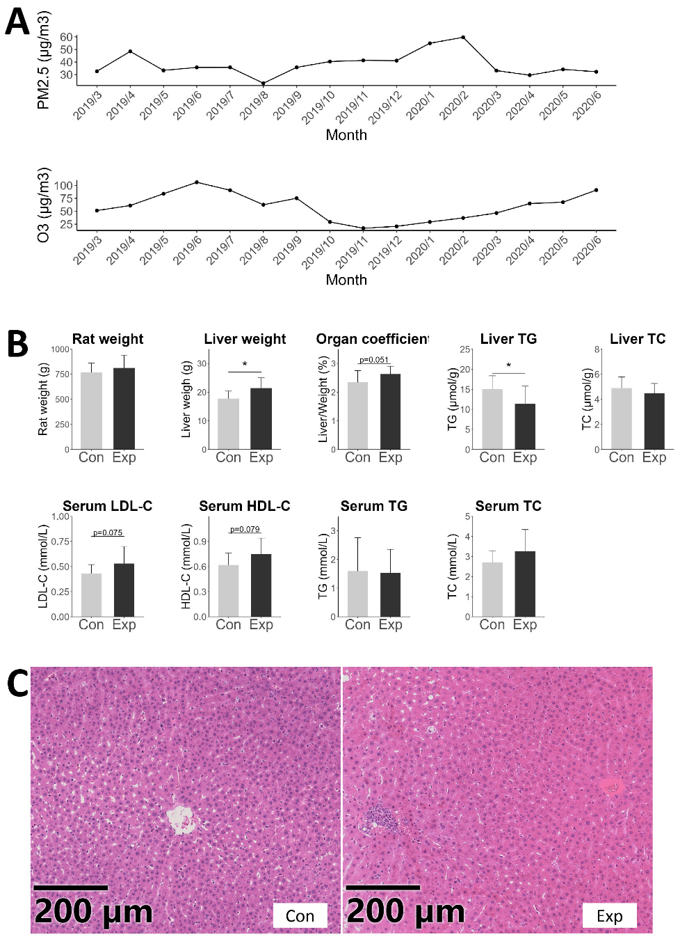 PM<sub>2.5</sub> and O<sub>3</sub> co-exposure affecting serum LDL-C: evidence from epidemiology and animal models