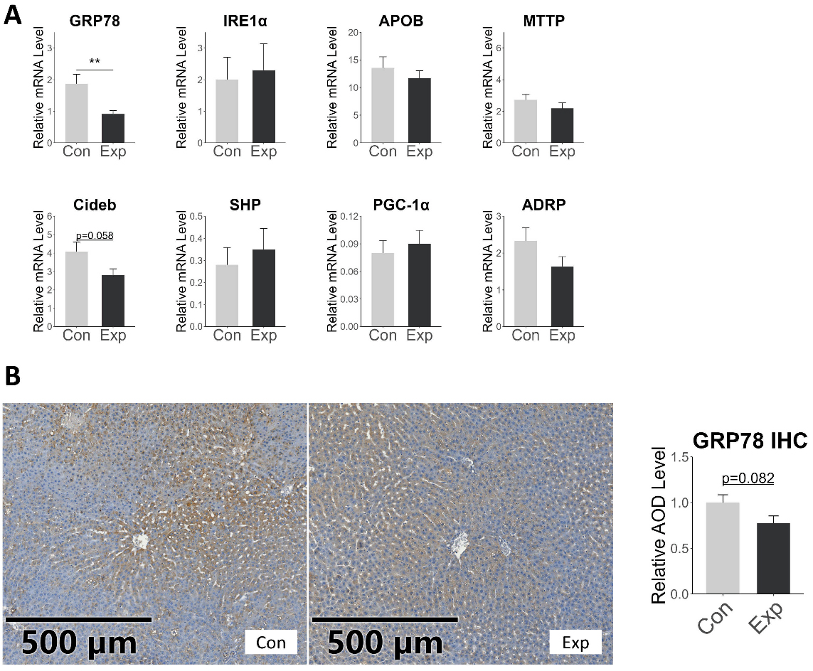 PM<sub>2.5</sub> and O<sub>3</sub> co-exposure affecting serum LDL-C: evidence from epidemiology and animal models