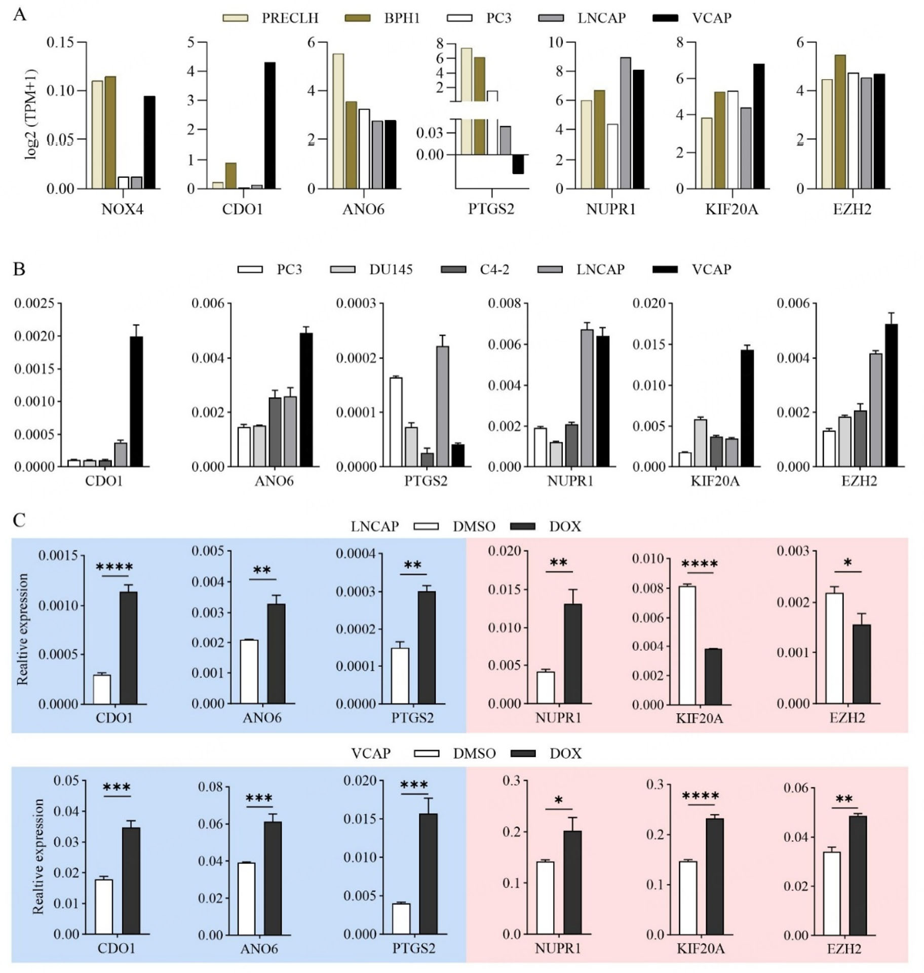 A ferroptosis-based gene signature for relapse prediction in prostate adenocarcinoma
