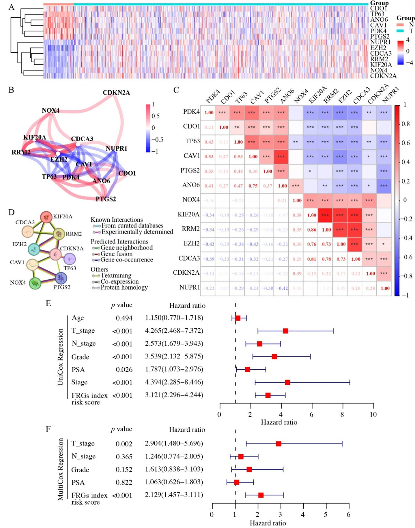 A ferroptosis-based gene signature for relapse prediction in prostate adenocarcinoma