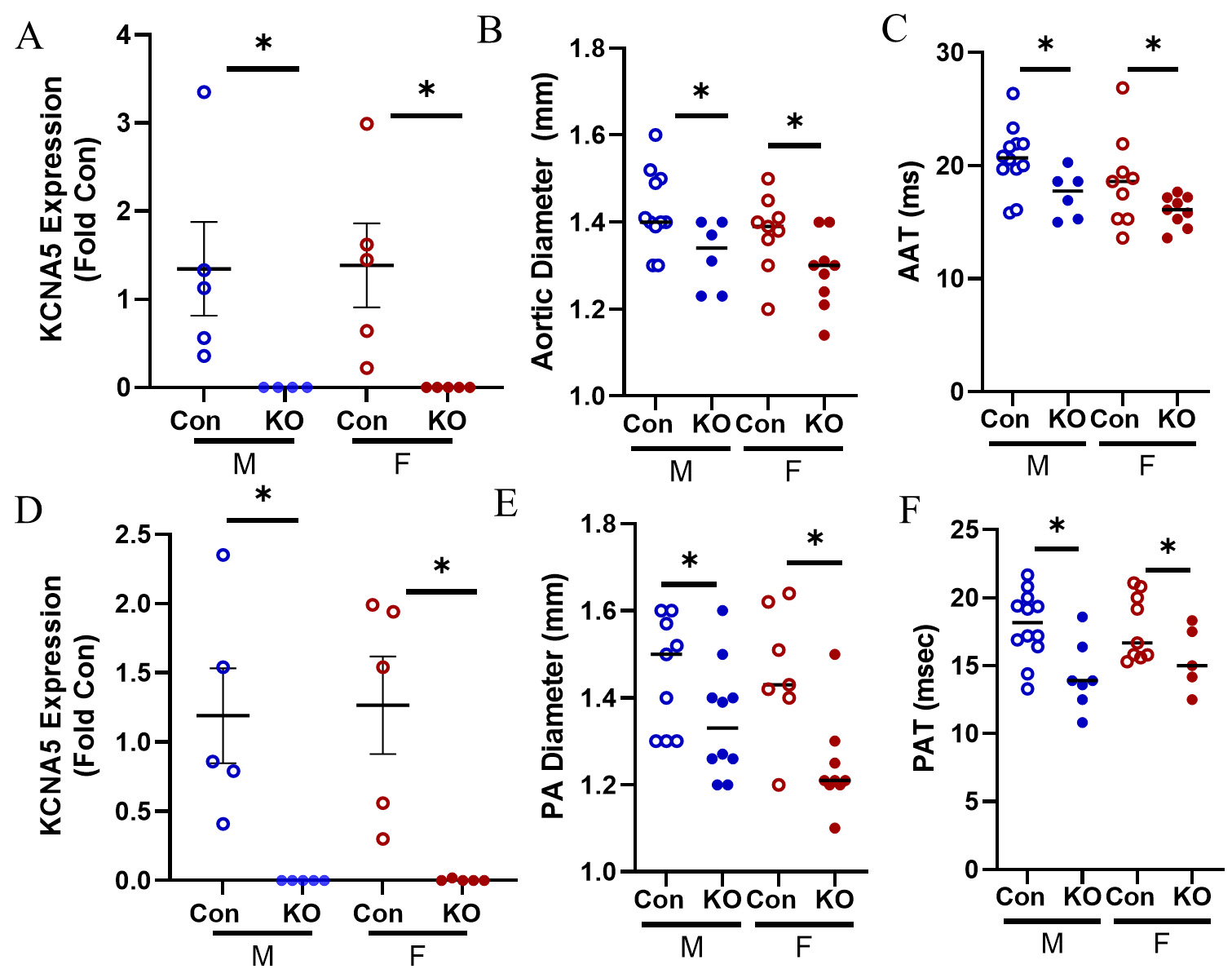 Global deletion of potassium channel Kv1.5 causes biventricular heart failure