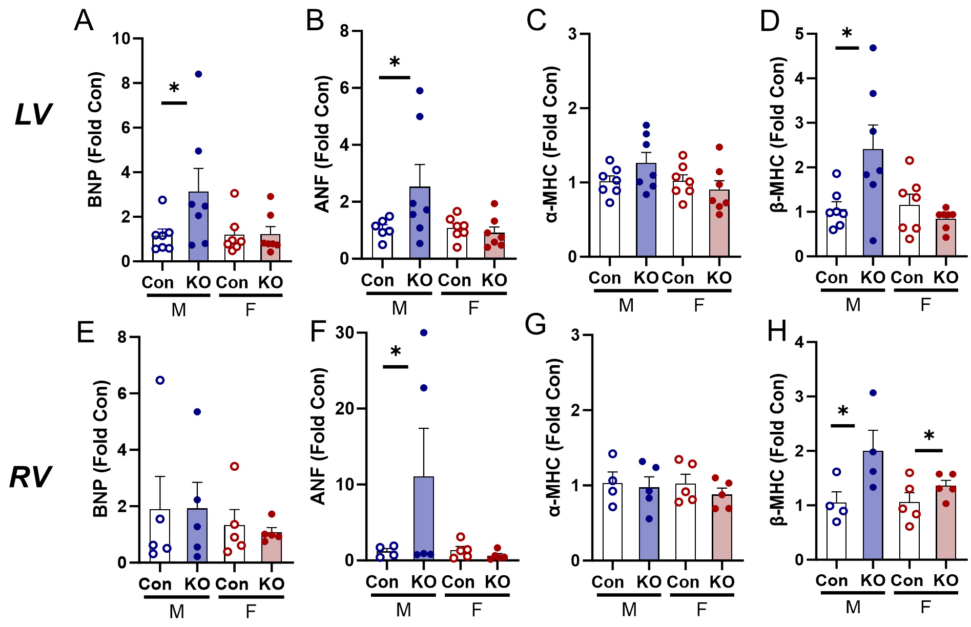 Global deletion of potassium channel Kv1.5 causes biventricular heart failure