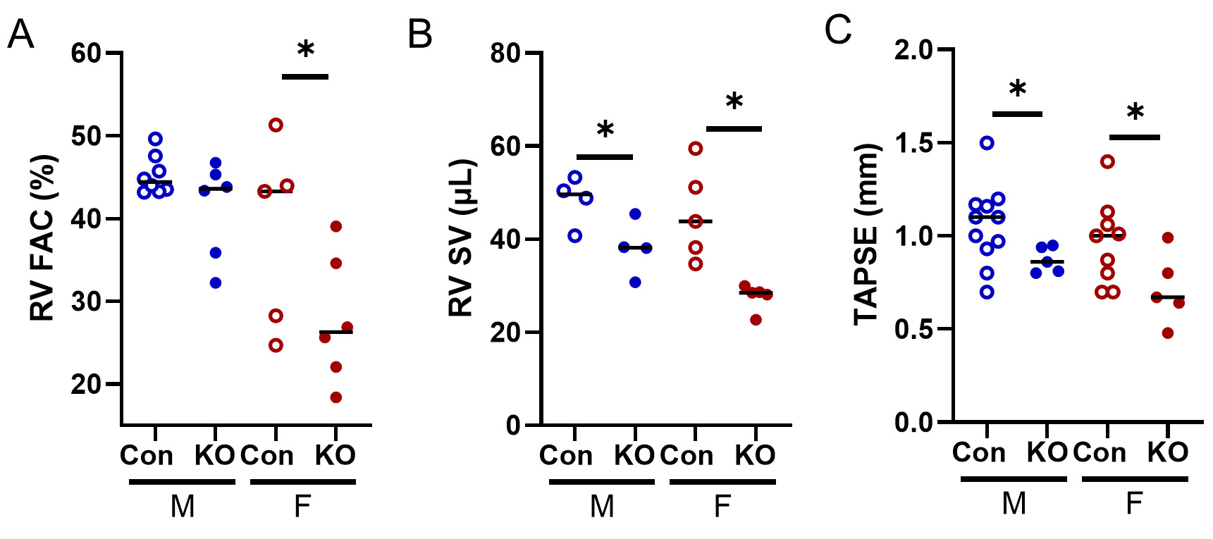 Global deletion of potassium channel Kv1.5 causes biventricular heart failure